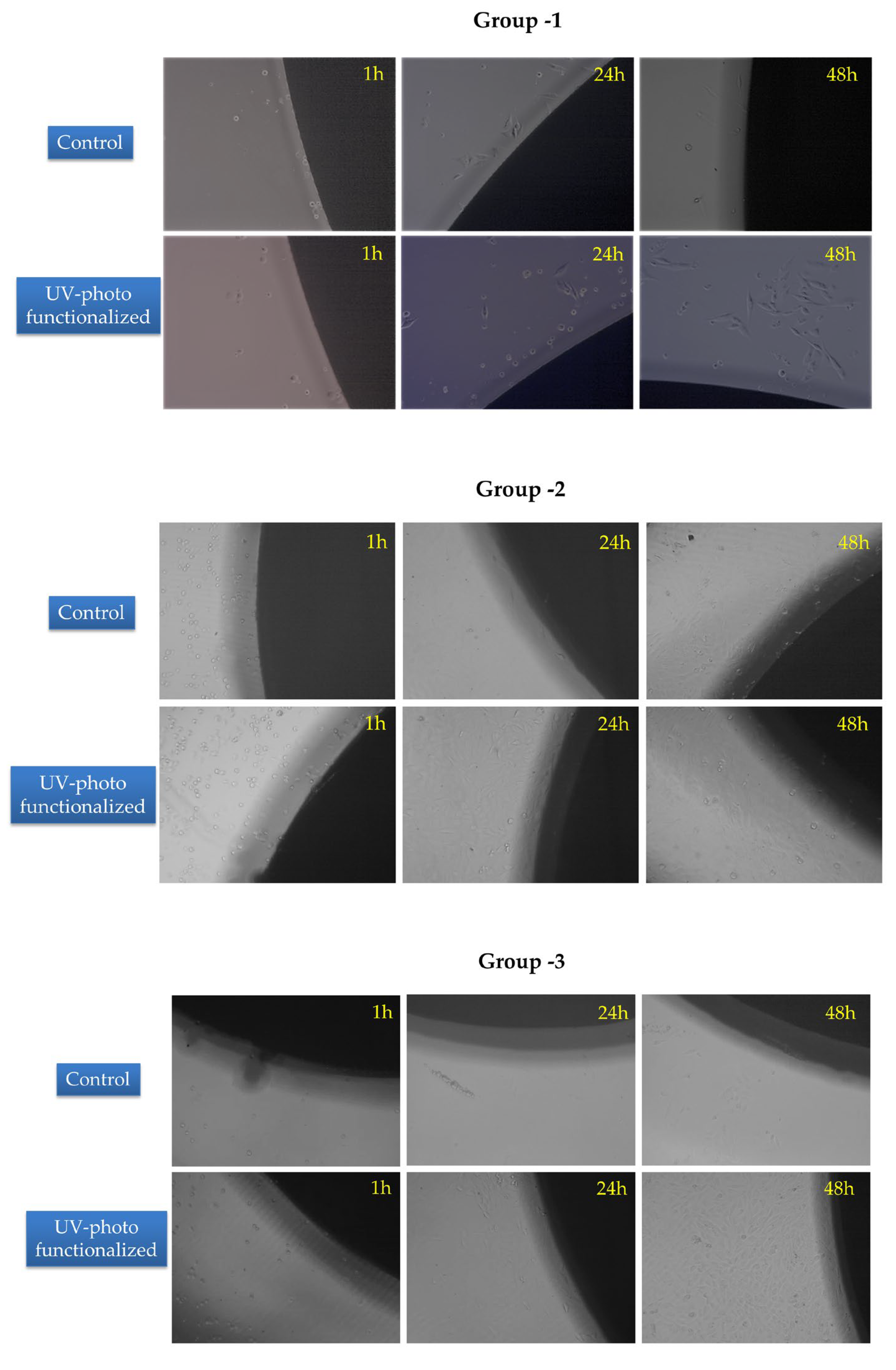 Jfb 14 00130 g004 Jfb 14 00130 g004