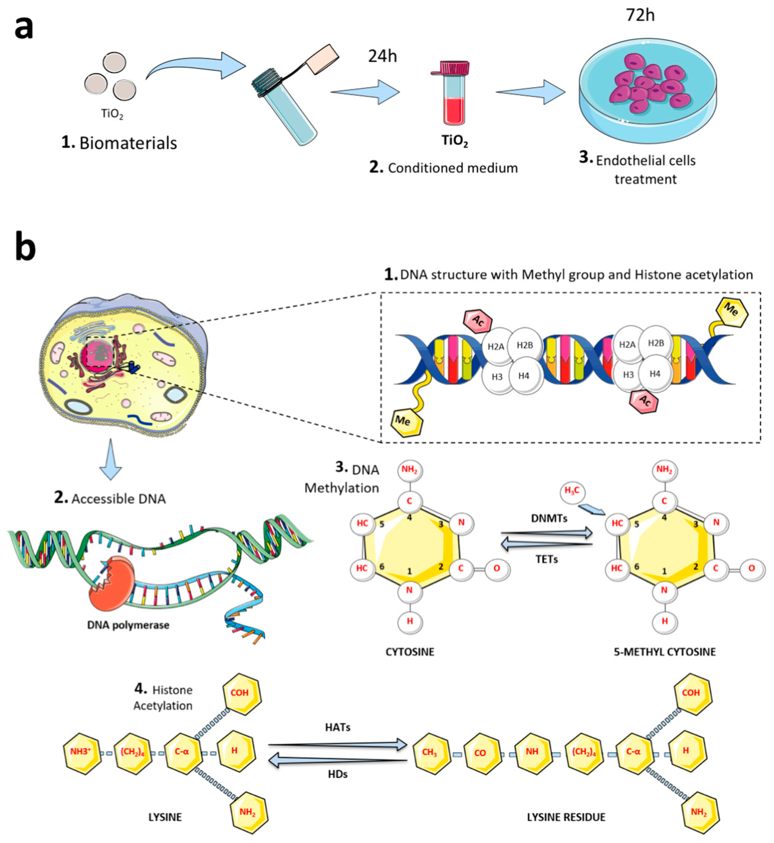 Jfb 14 00131 g001 Jfb 14 00131 g001