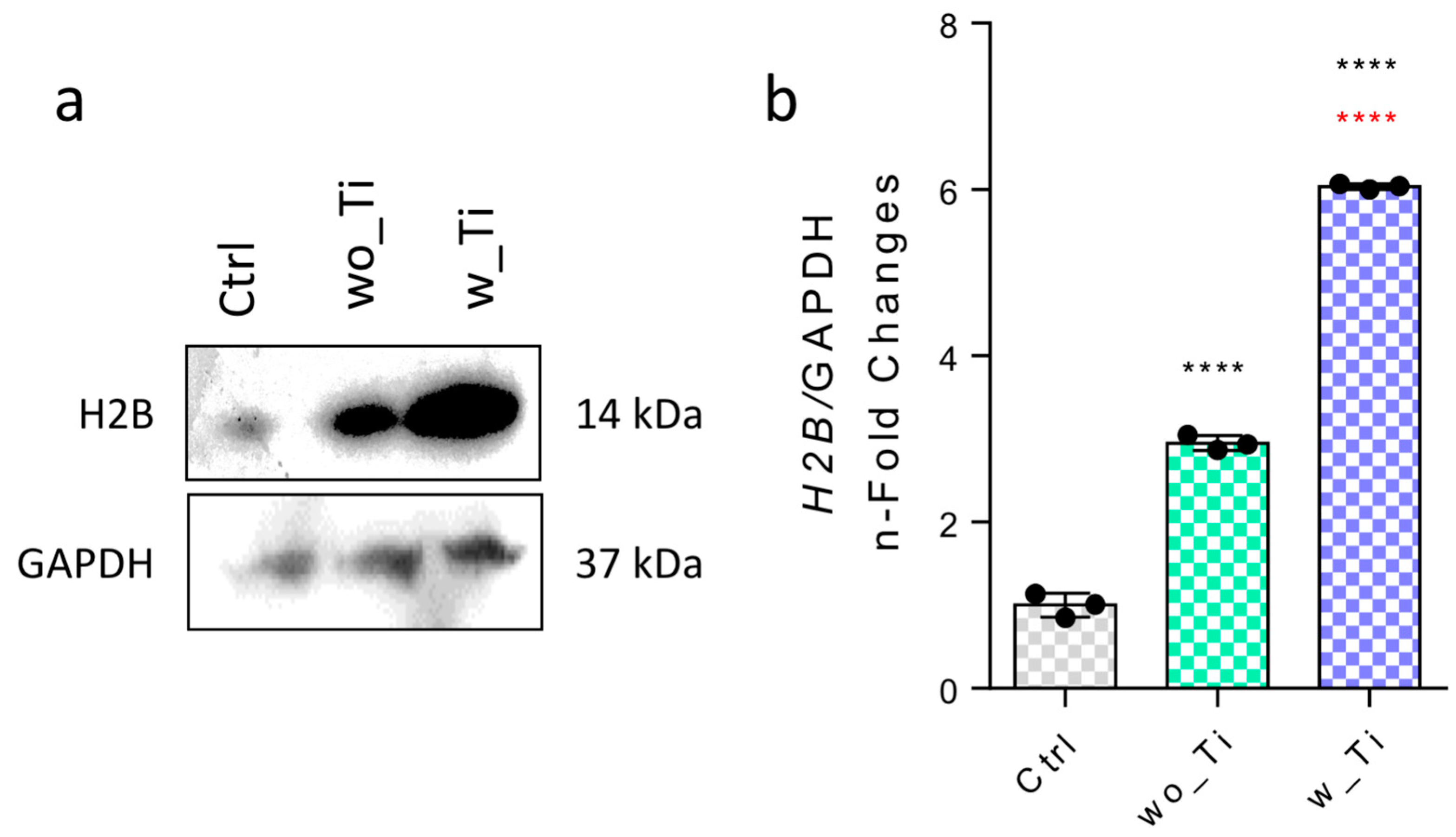 Jfb 14 00131 g004 Jfb 14 00131 g004