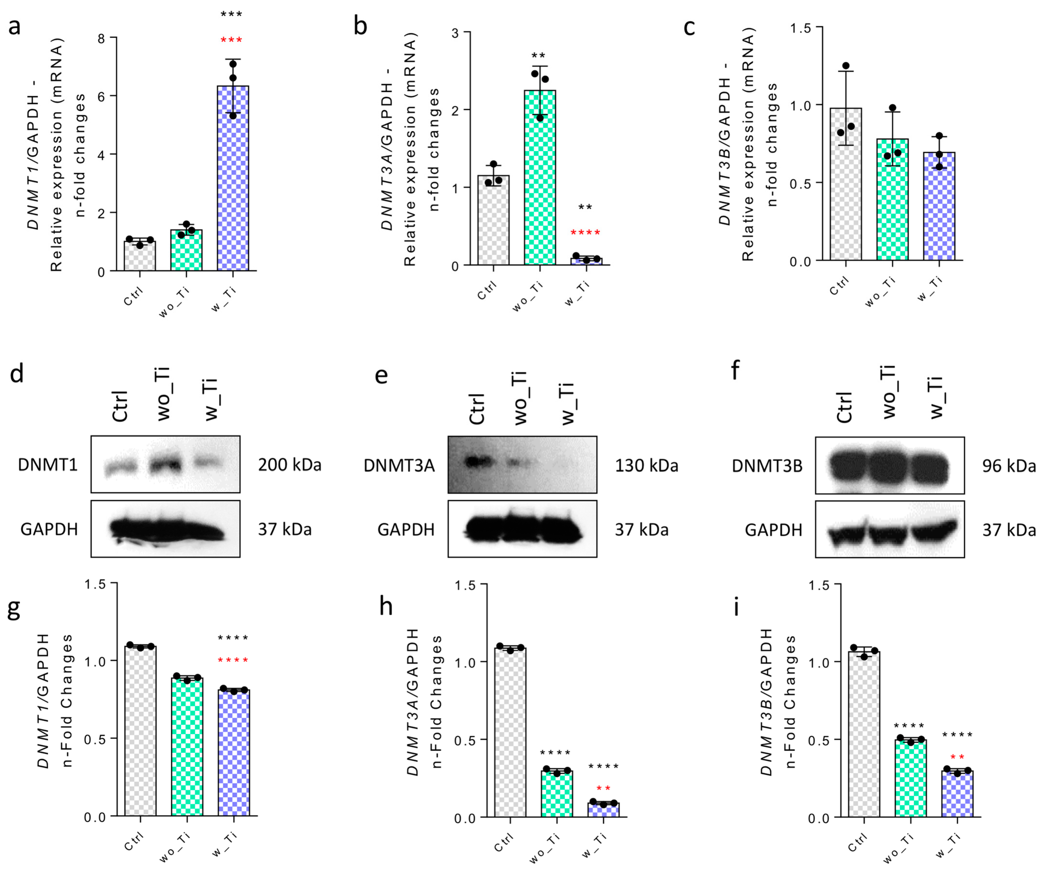 Jfb 14 00131 g005 Jfb 14 00131 g005