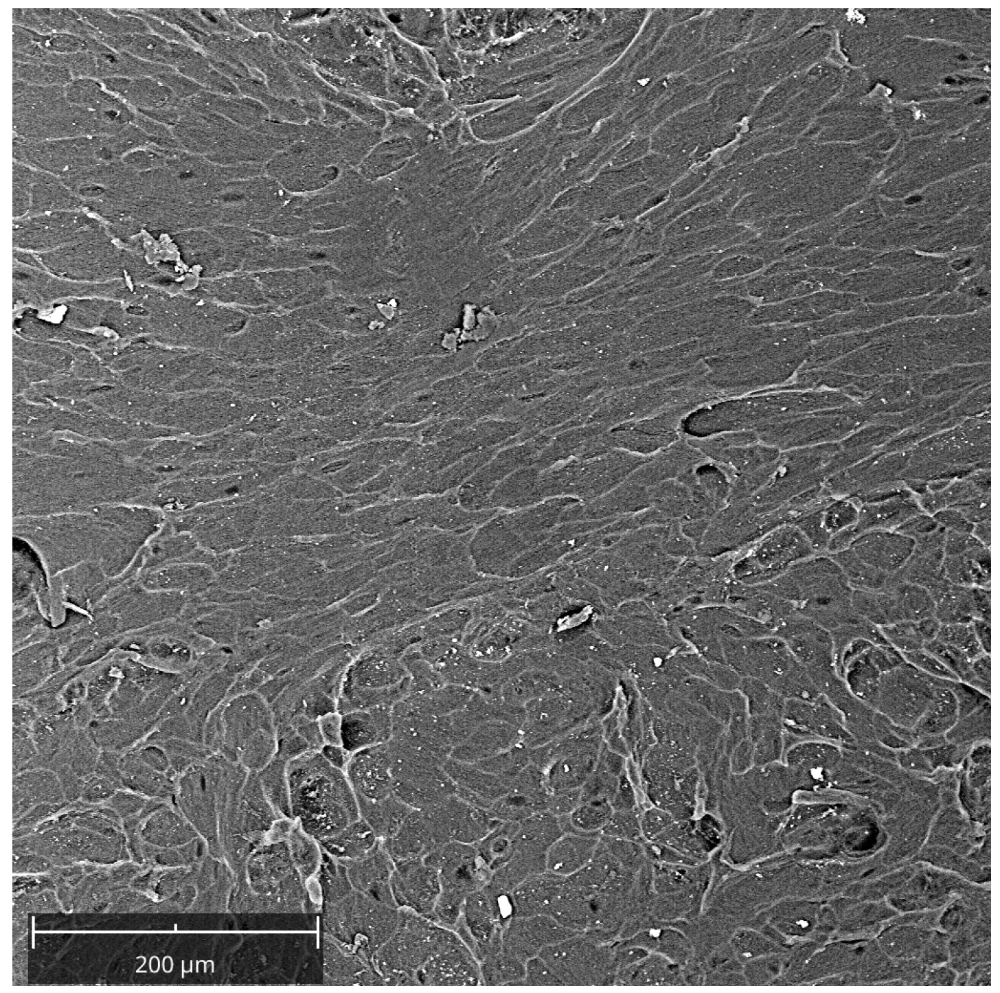 Jfb 14 00133 g003 Jfb 14 00133 g003