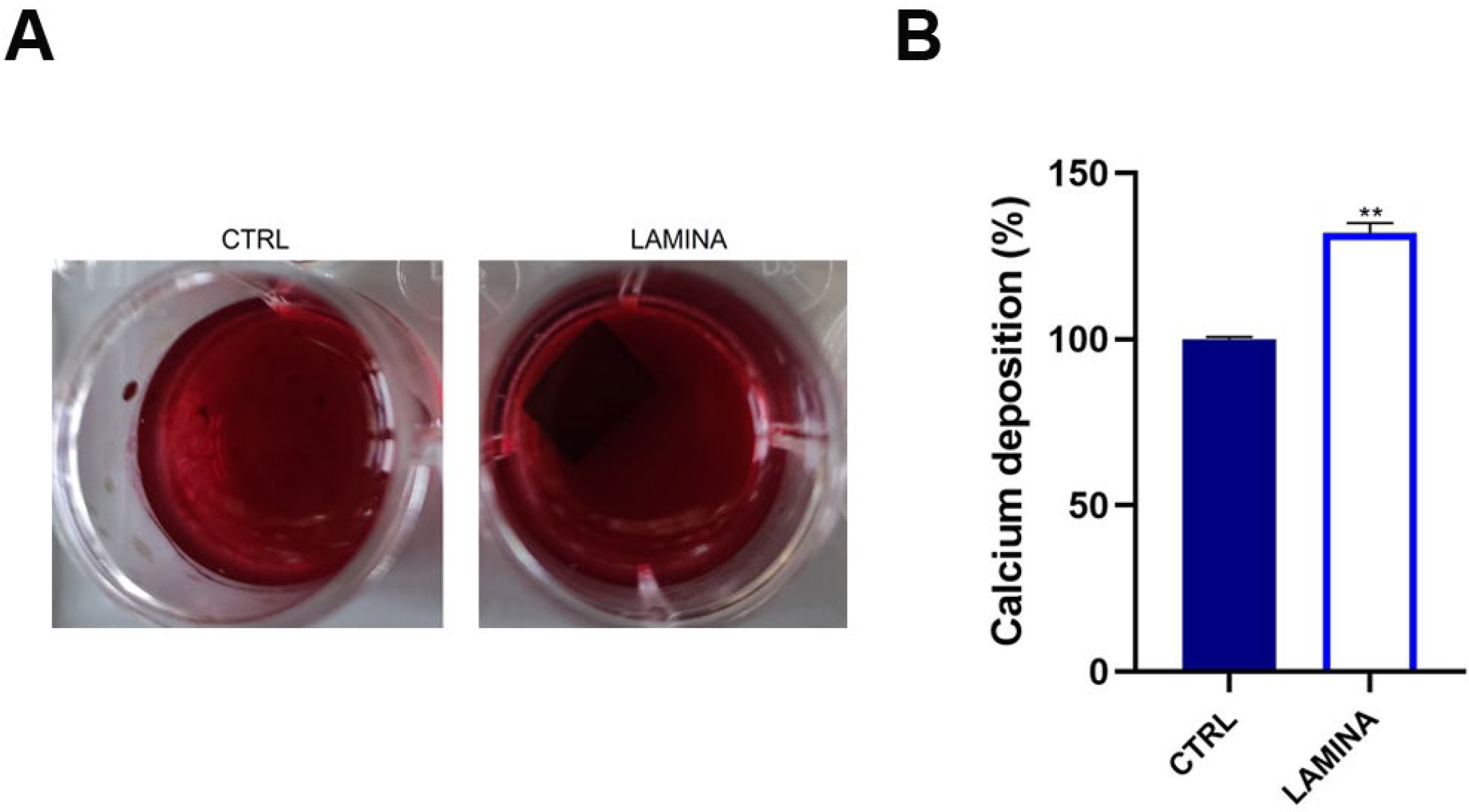 Jfb 14 00133 g007 Jfb 14 00133 g007