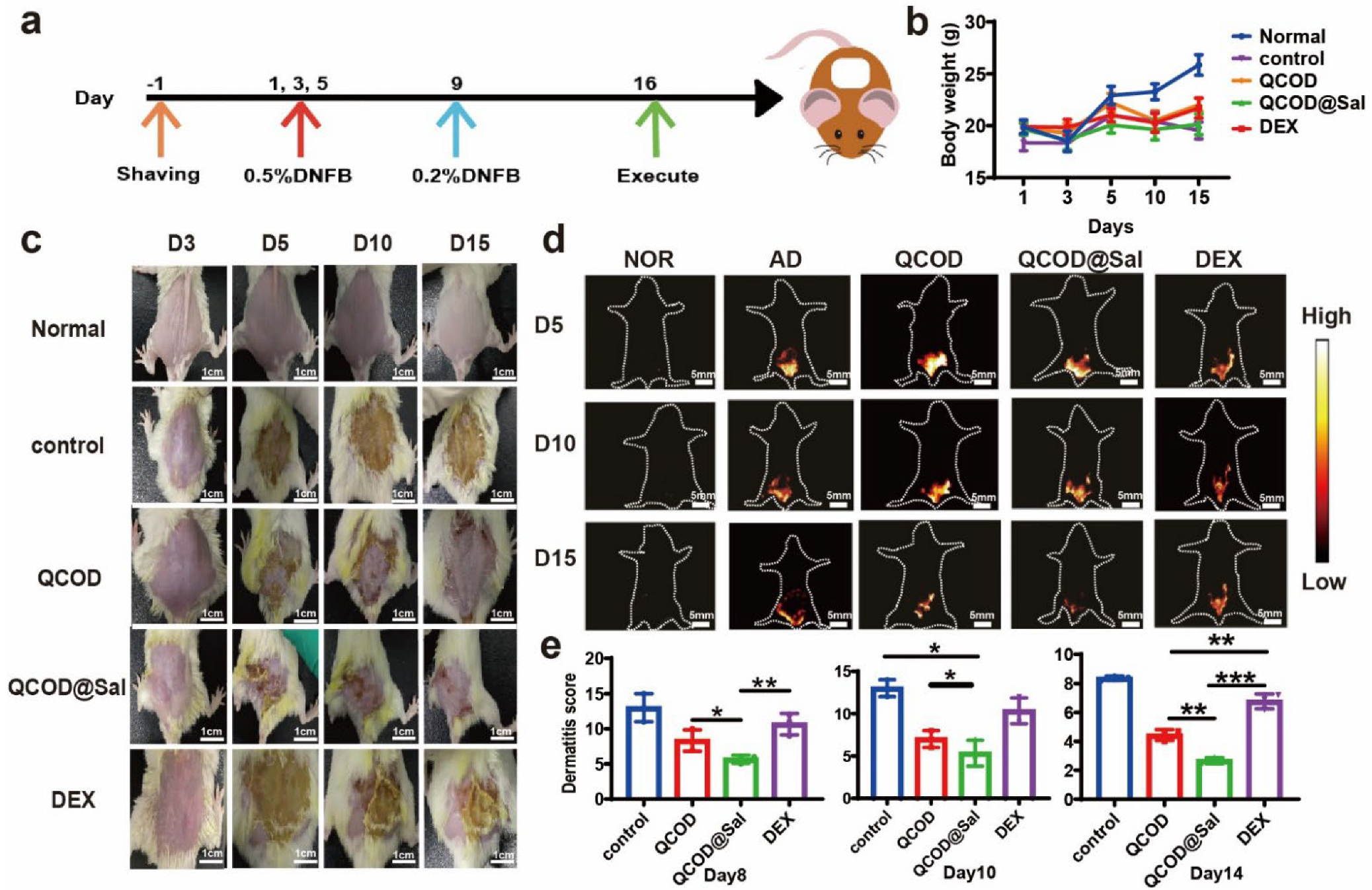 Jfb 14 00150 g004 Jfb 14 00150 g004