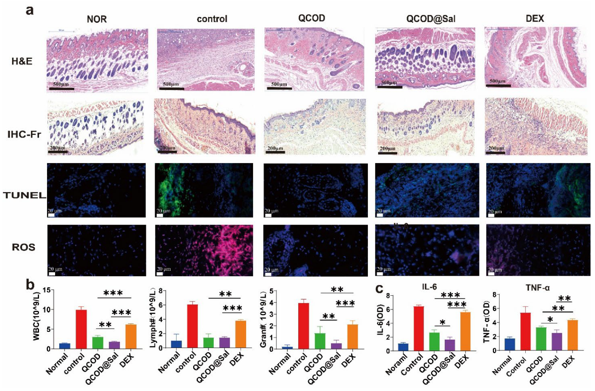 Jfb 14 00150 g005 Jfb 14 00150 g005