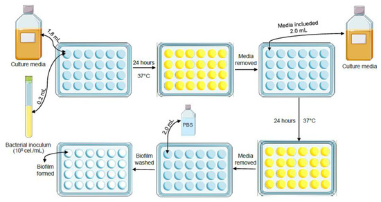 Antimicrobial Effect of the Amniotic Membrane Isolated and Associated ...