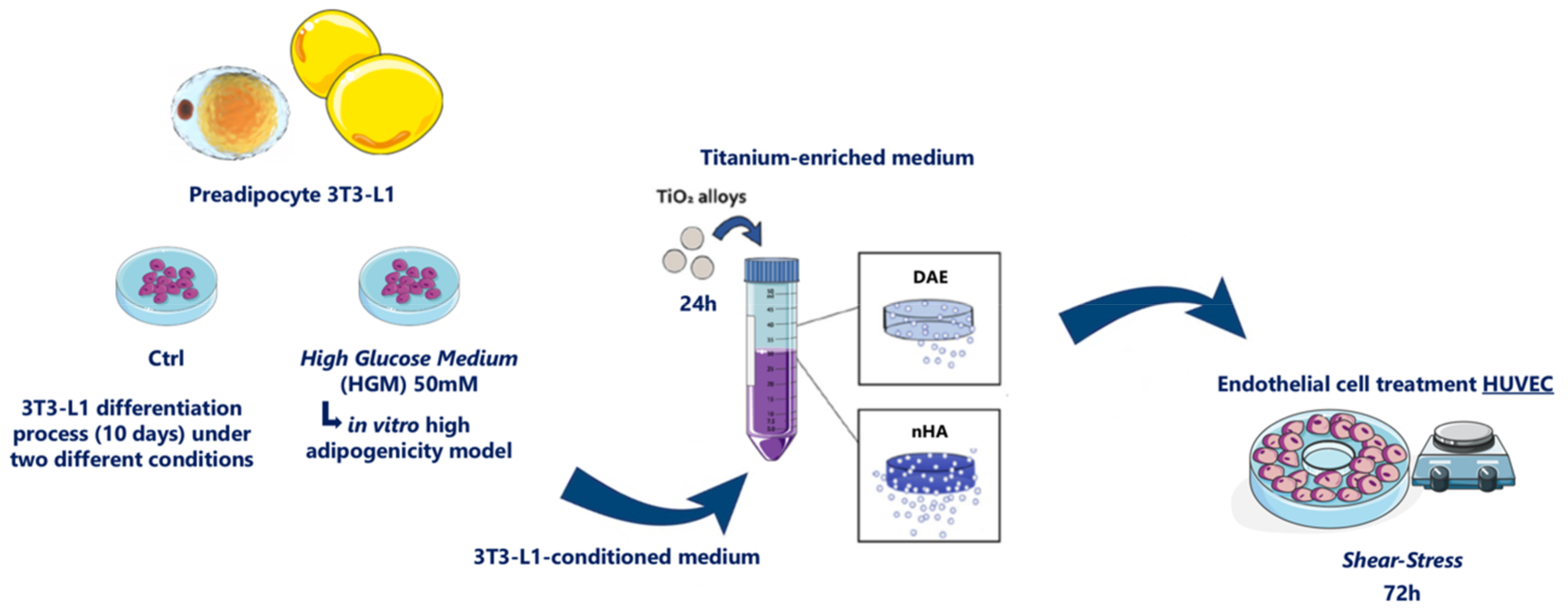 Jfb 14 00162 g001 Jfb 14 00162 g001