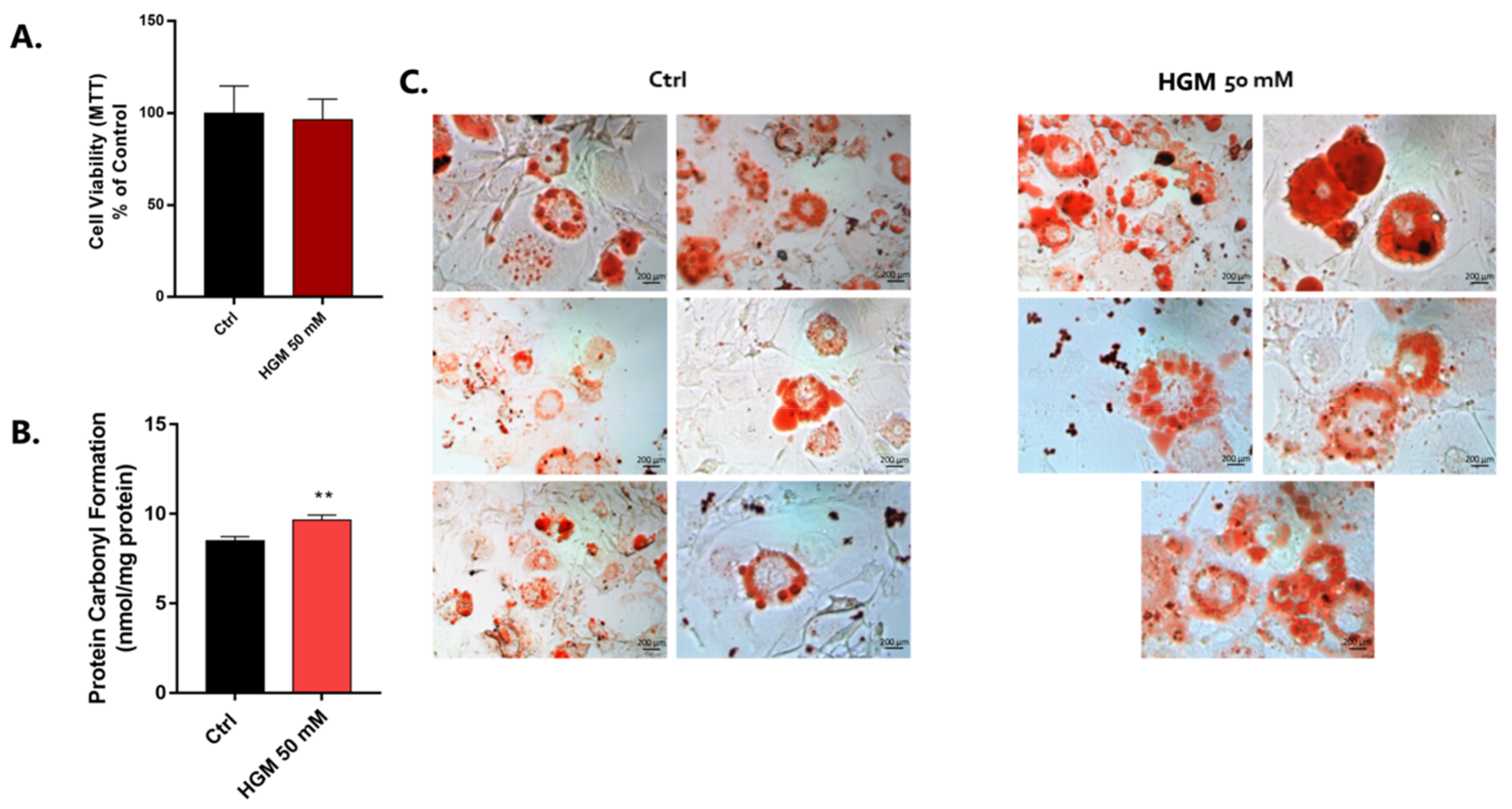 Jfb 14 00162 g002 Jfb 14 00162 g002