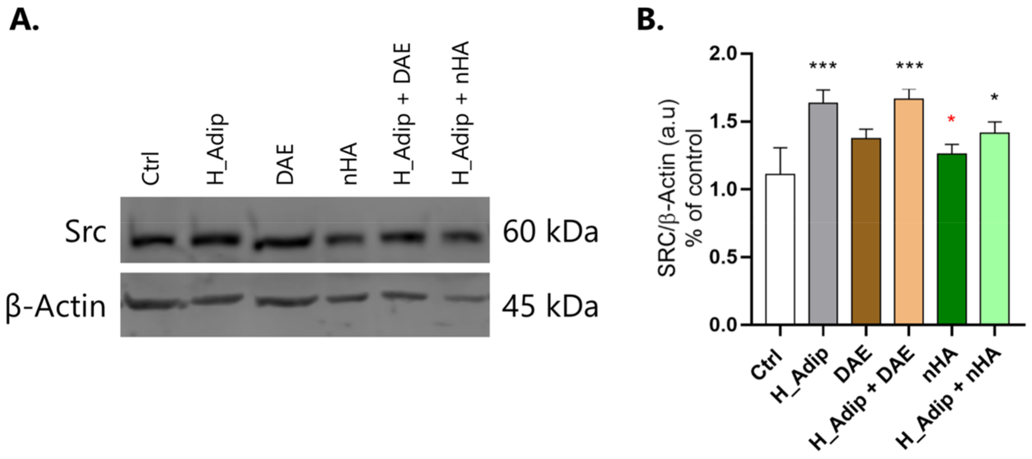 Jfb 14 00162 g008 Jfb 14 00162 g008