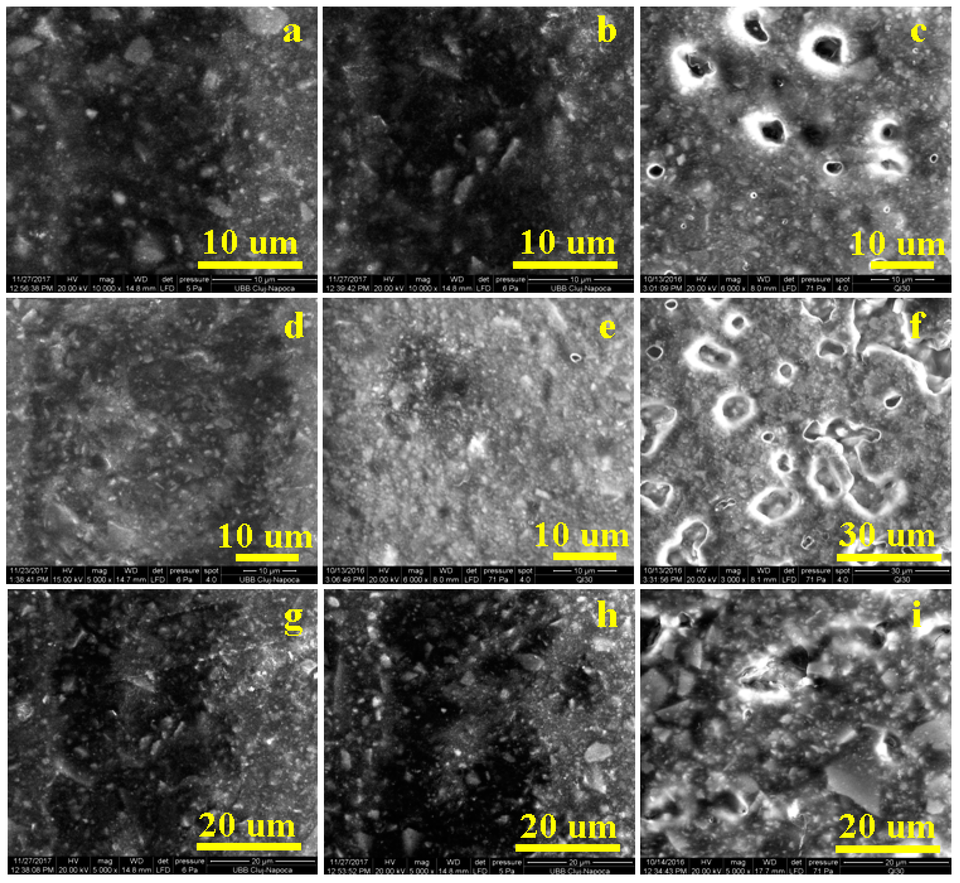 Jfb 14 00163 g006 Jfb 14 00163 g006