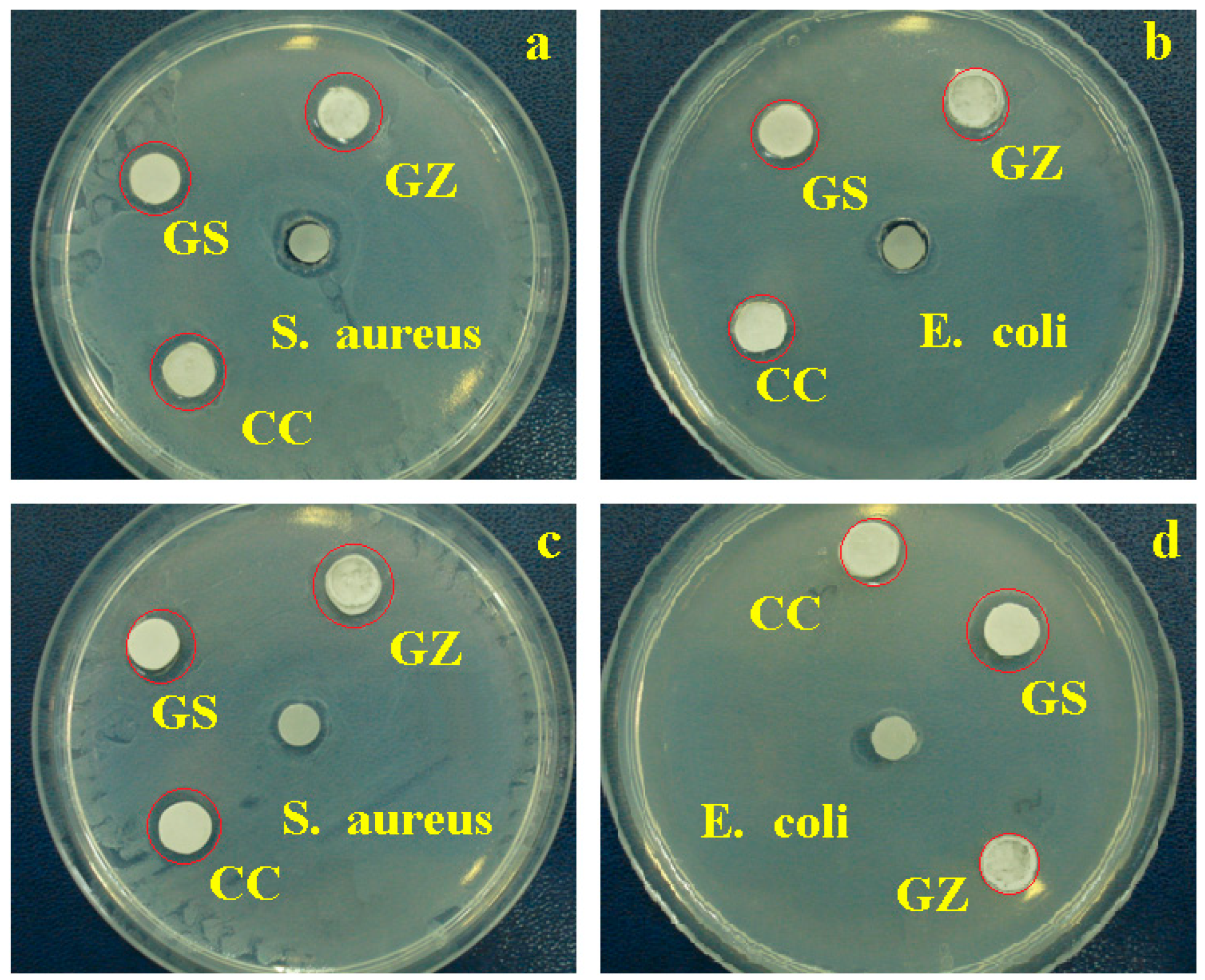 Jfb 14 00163 g007 Jfb 14 00163 g007