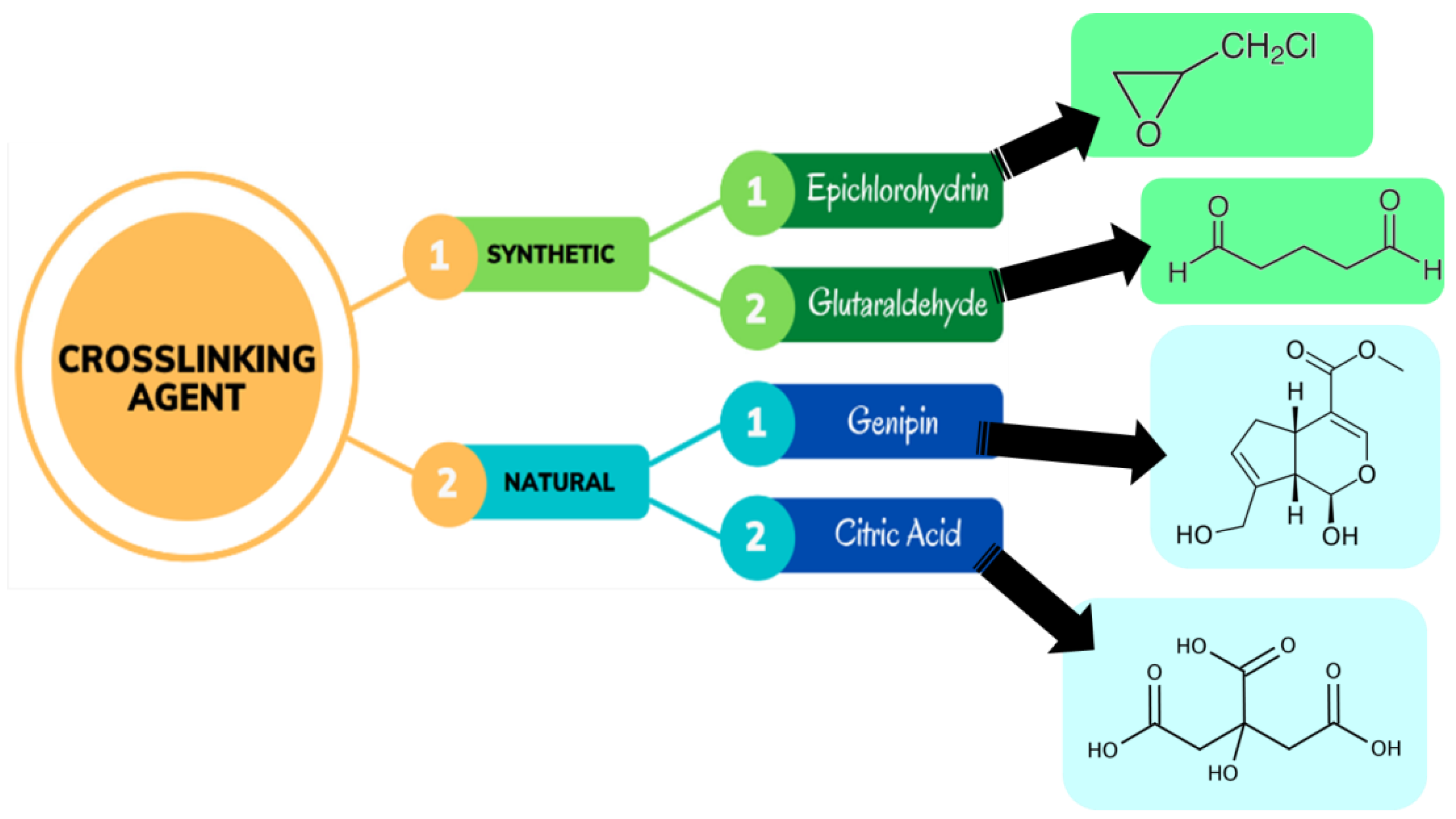 Jfb 14 00166 g005 Jfb 14 00166 g005