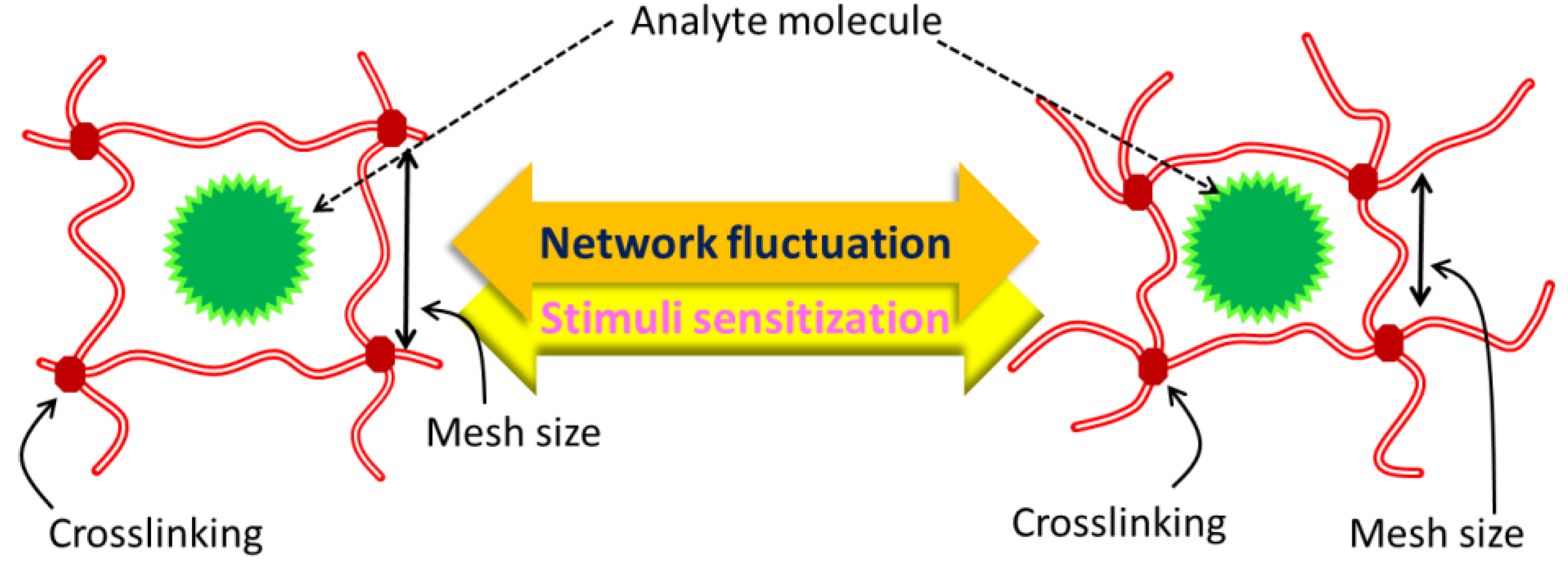 Jfb 14 00166 g006 Jfb 14 00166 g006