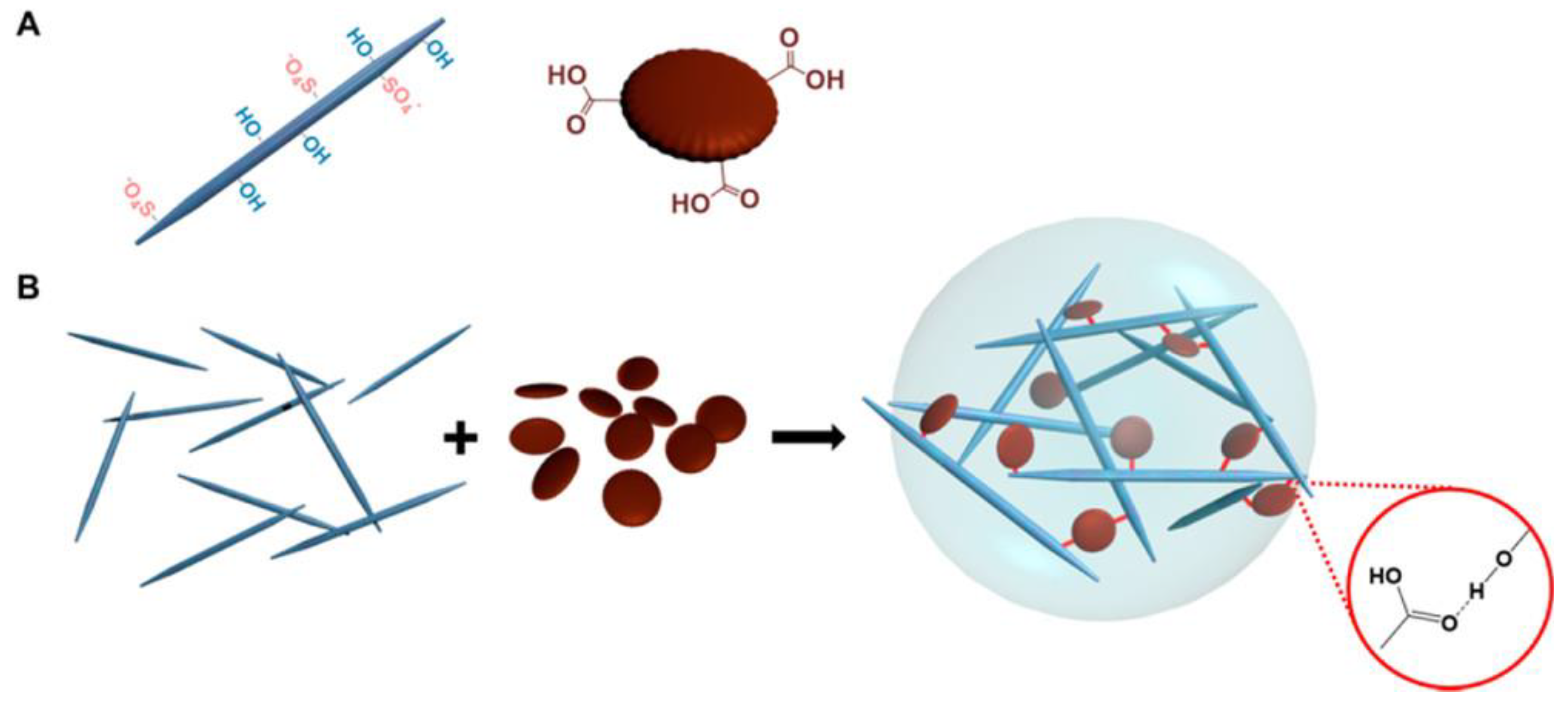 Jfb 14 00166 g008 Jfb 14 00166 g008