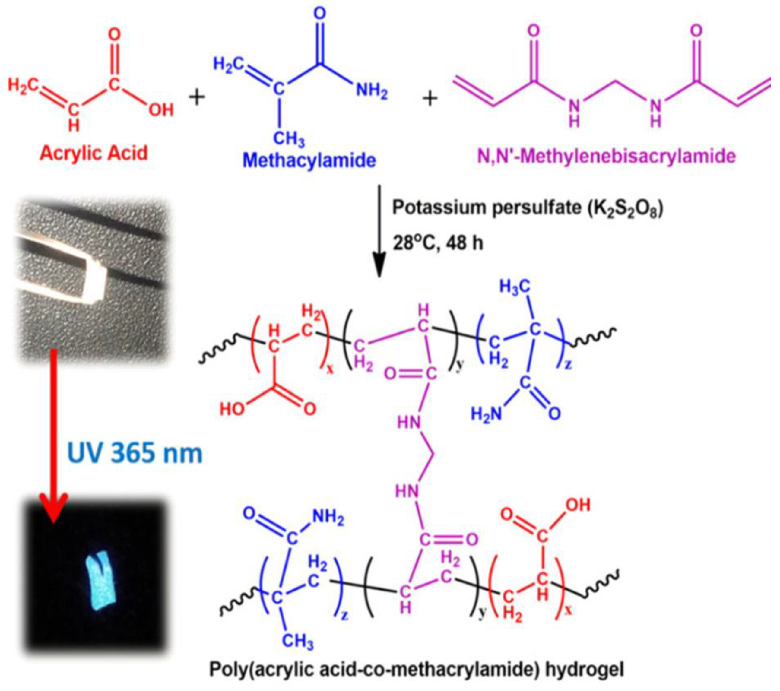 Jfb 14 00166 g009 Jfb 14 00166 g009