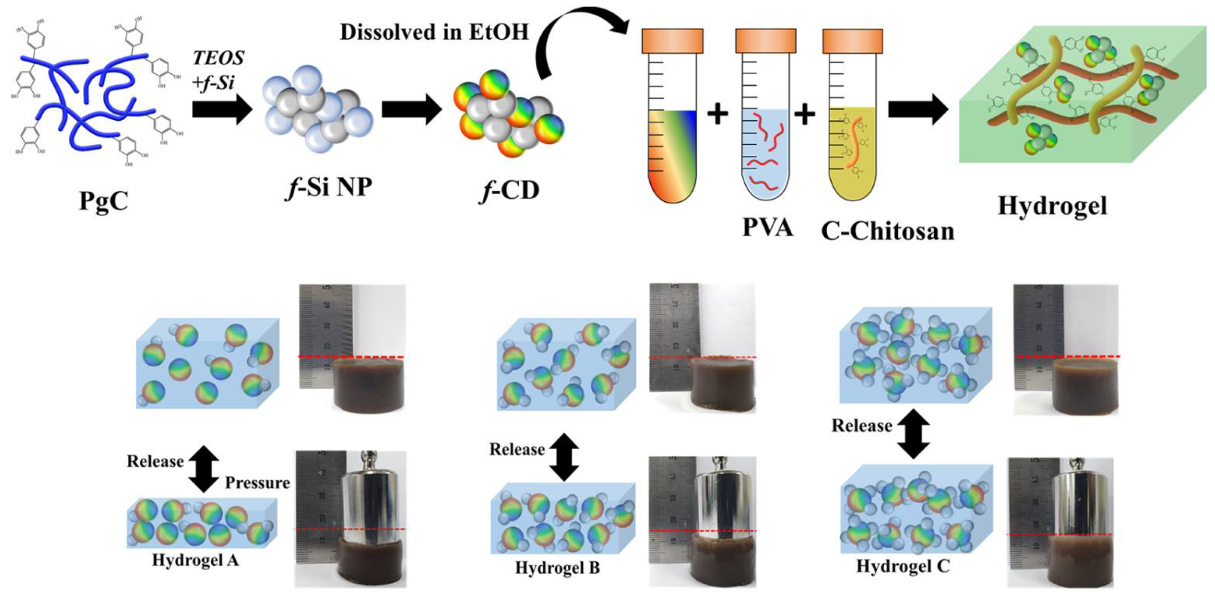 Jfb 14 00166 g011 Jfb 14 00166 g011