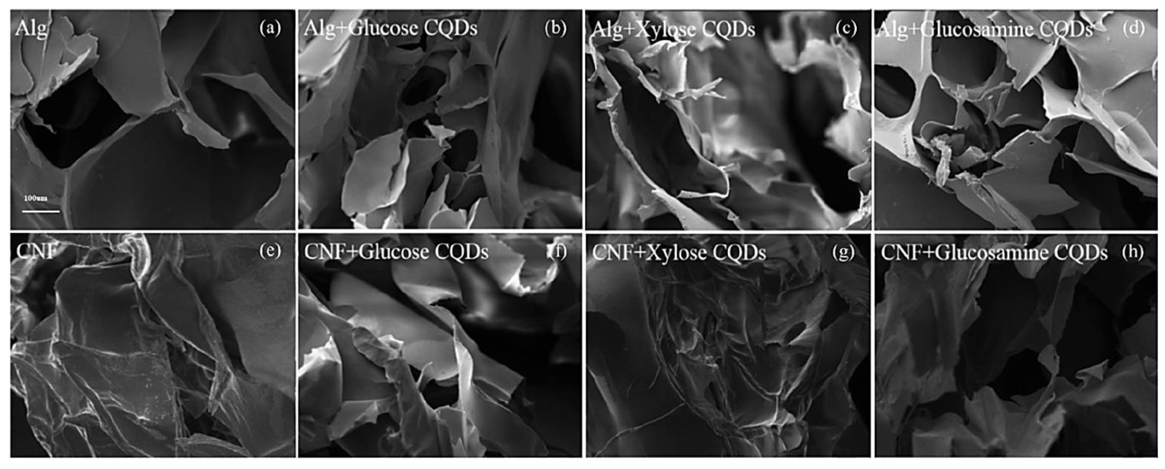 Jfb 14 00166 g012 Jfb 14 00166 g012