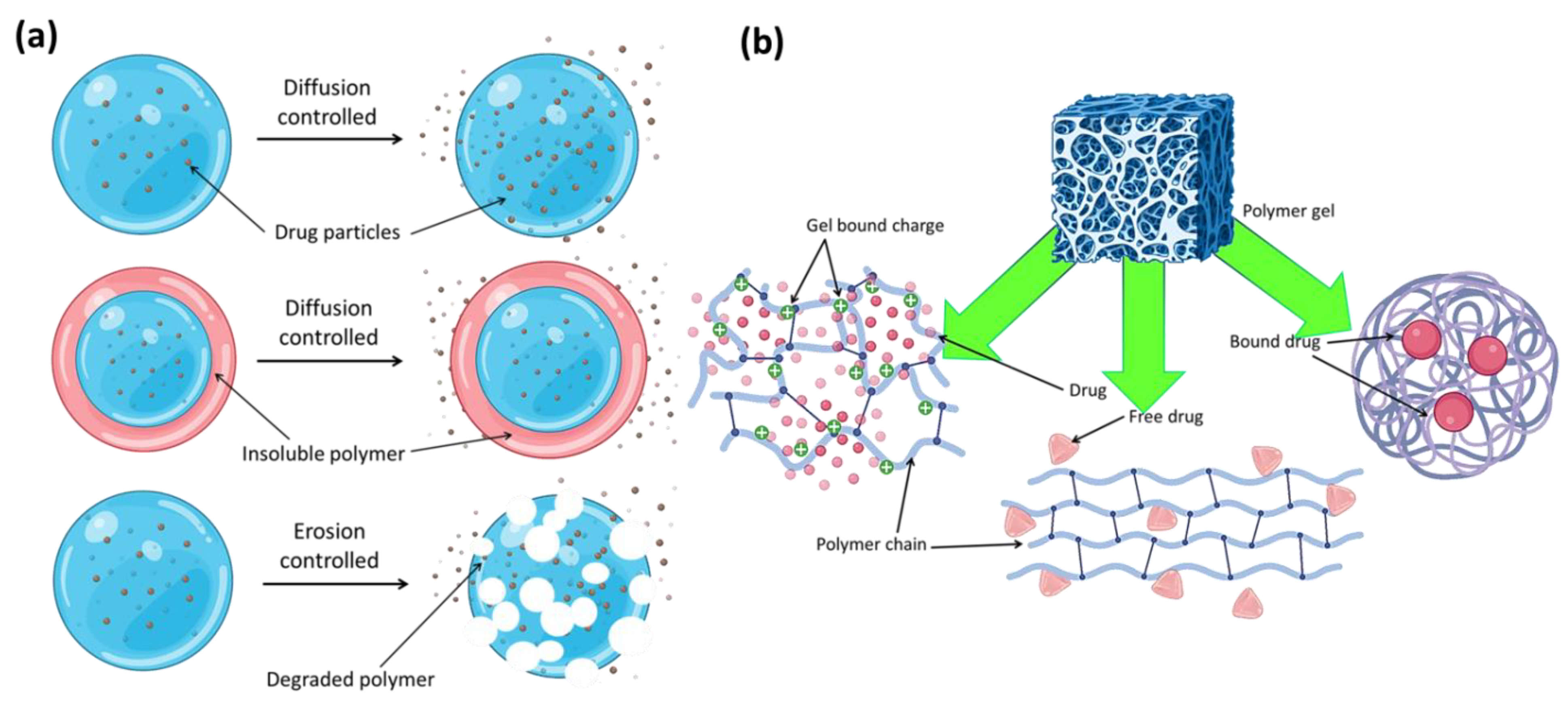 Jfb 14 00166 g014 Jfb 14 00166 g014