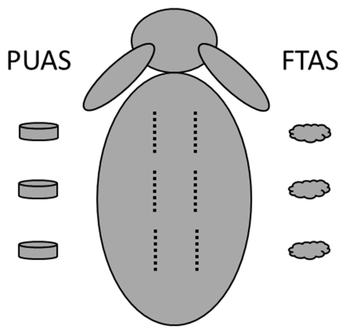 Jfb 14 00168 g001 Jfb 14 00168 g001