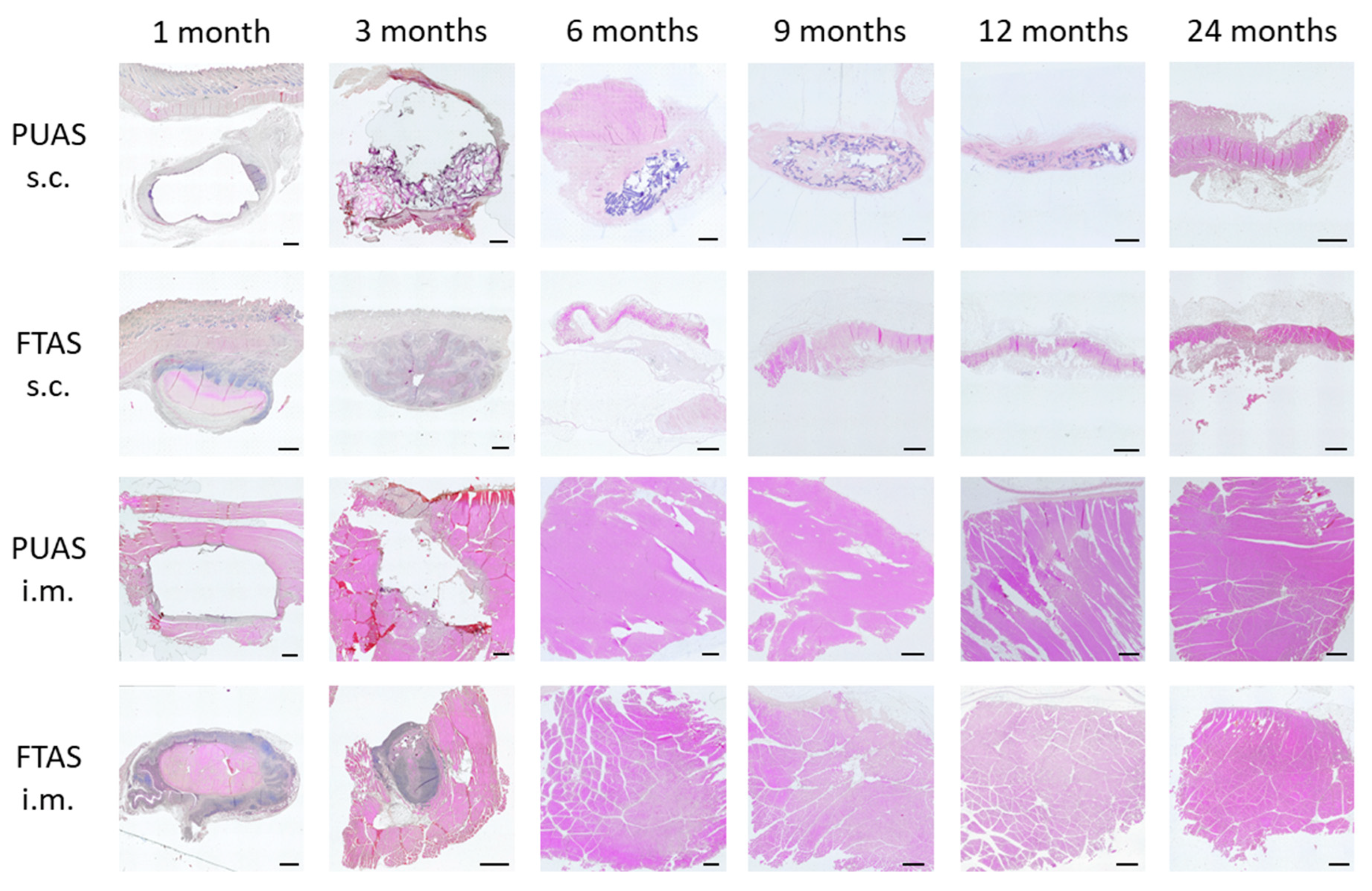 Jfb 14 00168 g007 Jfb 14 00168 g007