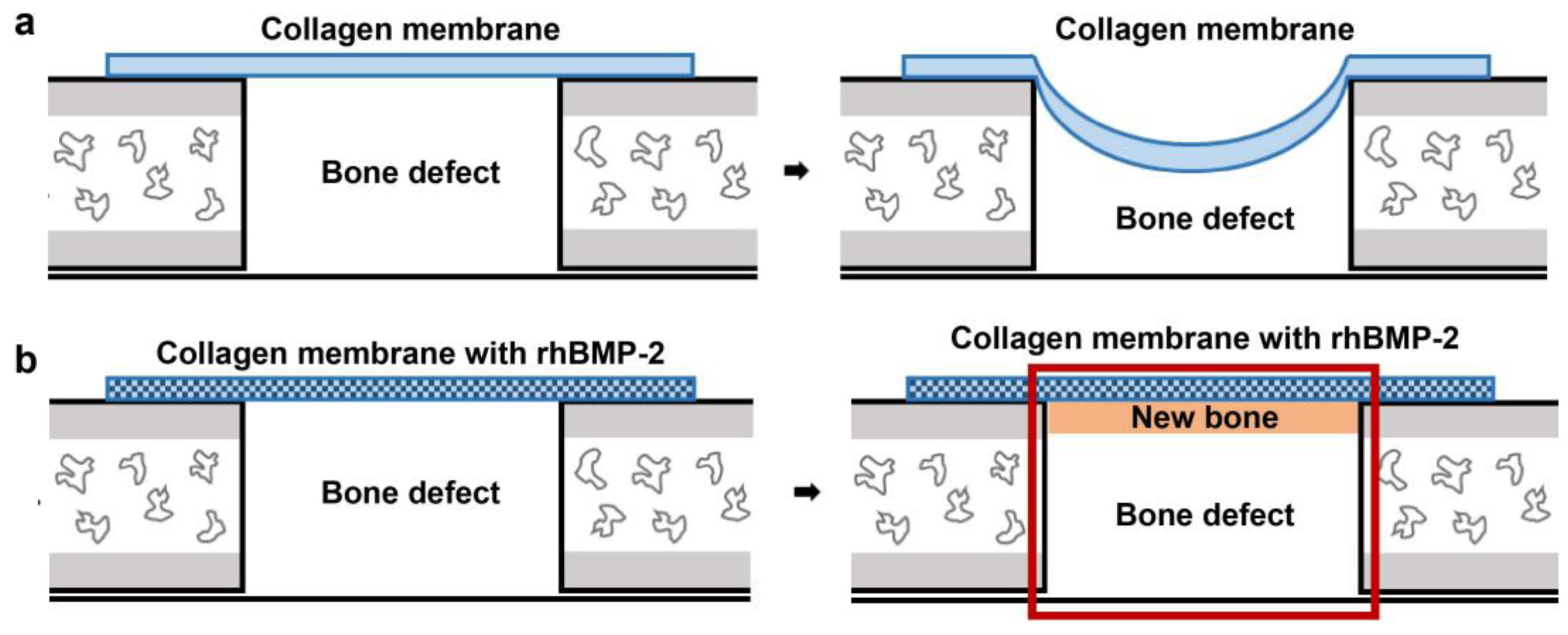 Jfb 14 00170 g001 Jfb 14 00170 g001