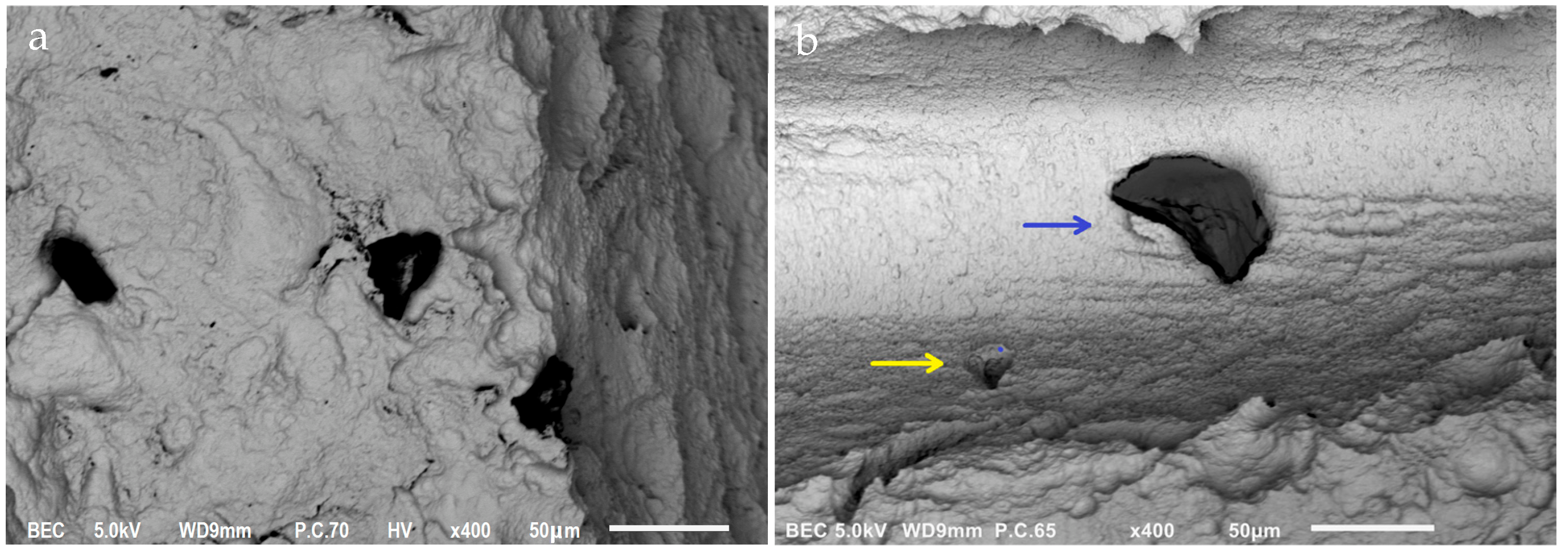 Jfb 14 00172 g003 Jfb 14 00172 g003