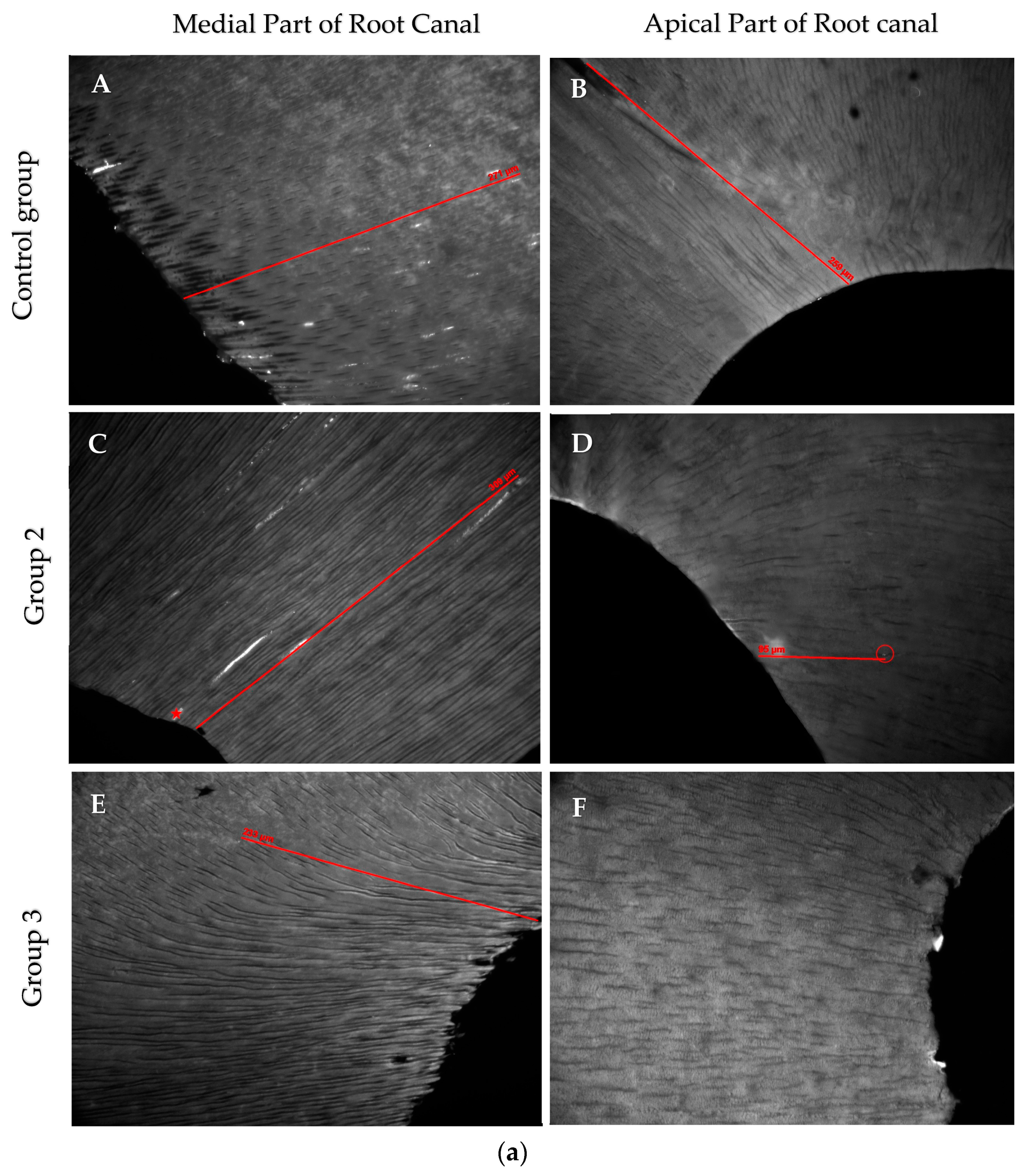 Jfb 14 00176 g004a Jfb 14 00176 g004a