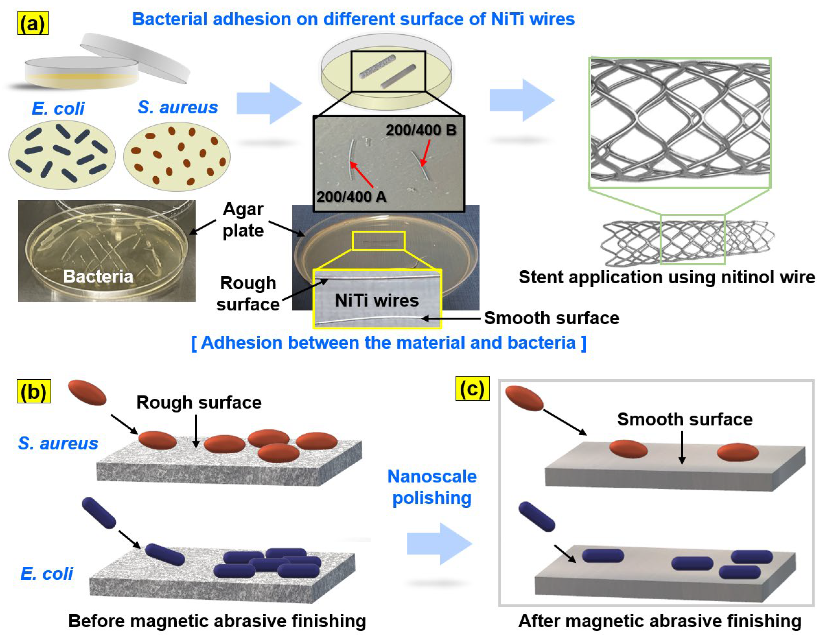 Jfb 14 00177 g002 Jfb 14 00177 g002