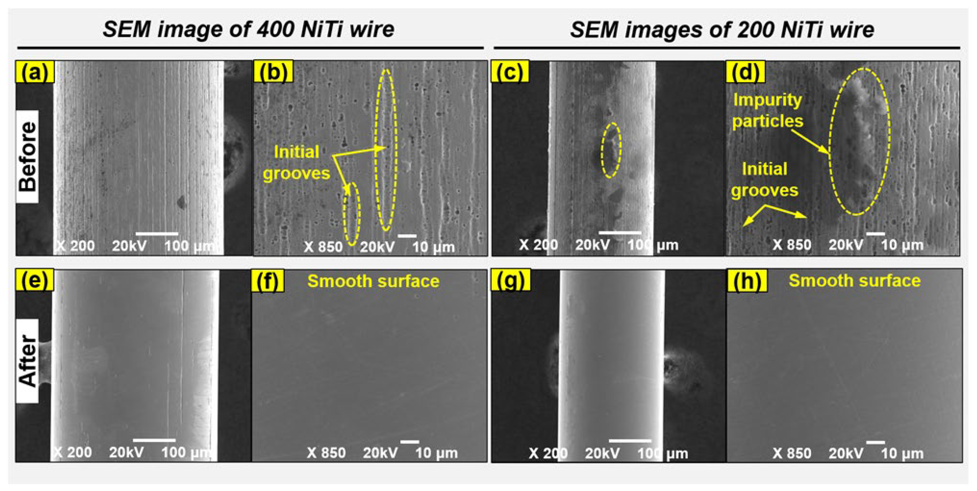 Jfb 14 00177 g009 Jfb 14 00177 g009