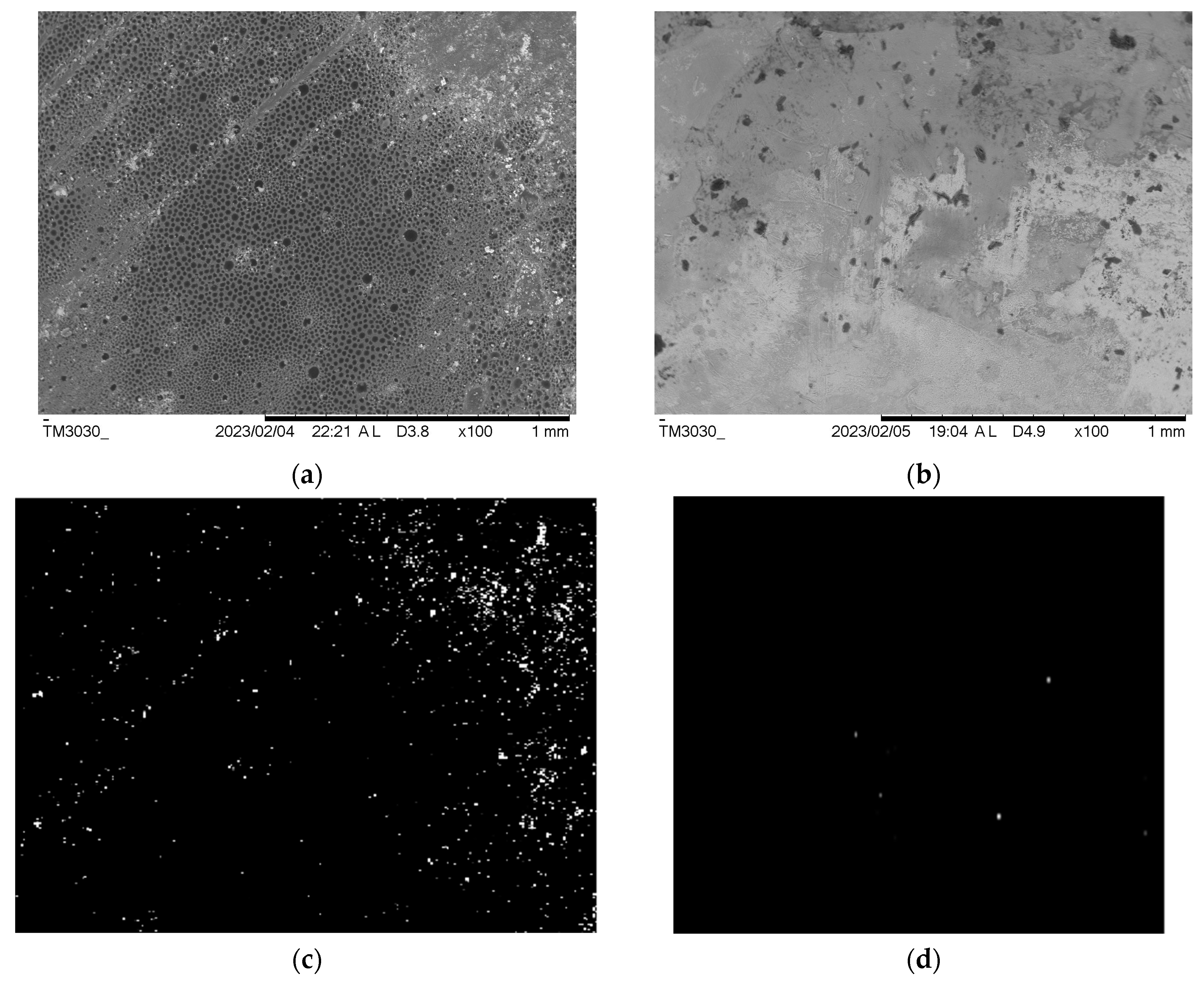 Jfb 14 00183 g008 Jfb 14 00183 g008