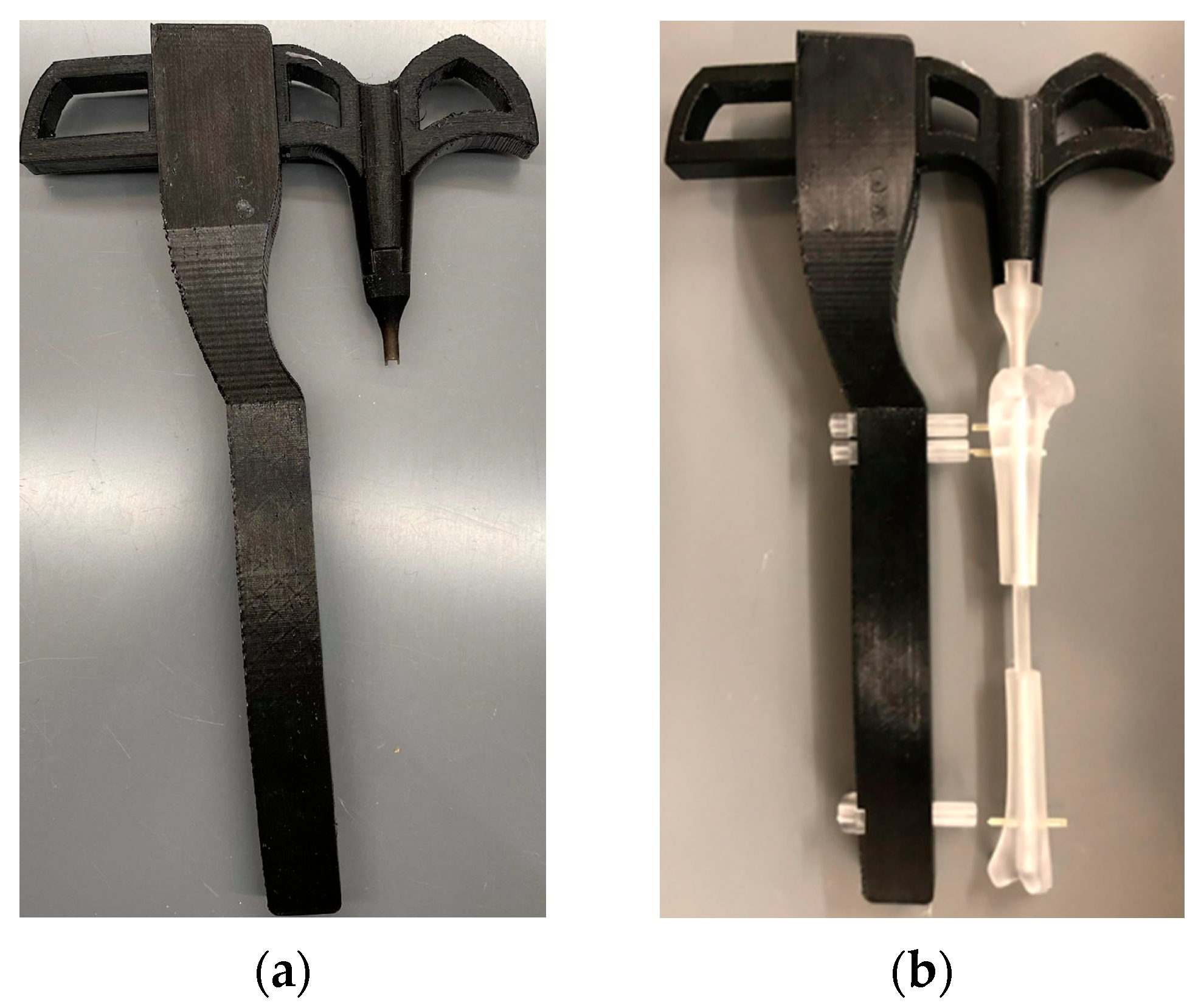 Jfb 14 00183 g011 Jfb 14 00183 g011