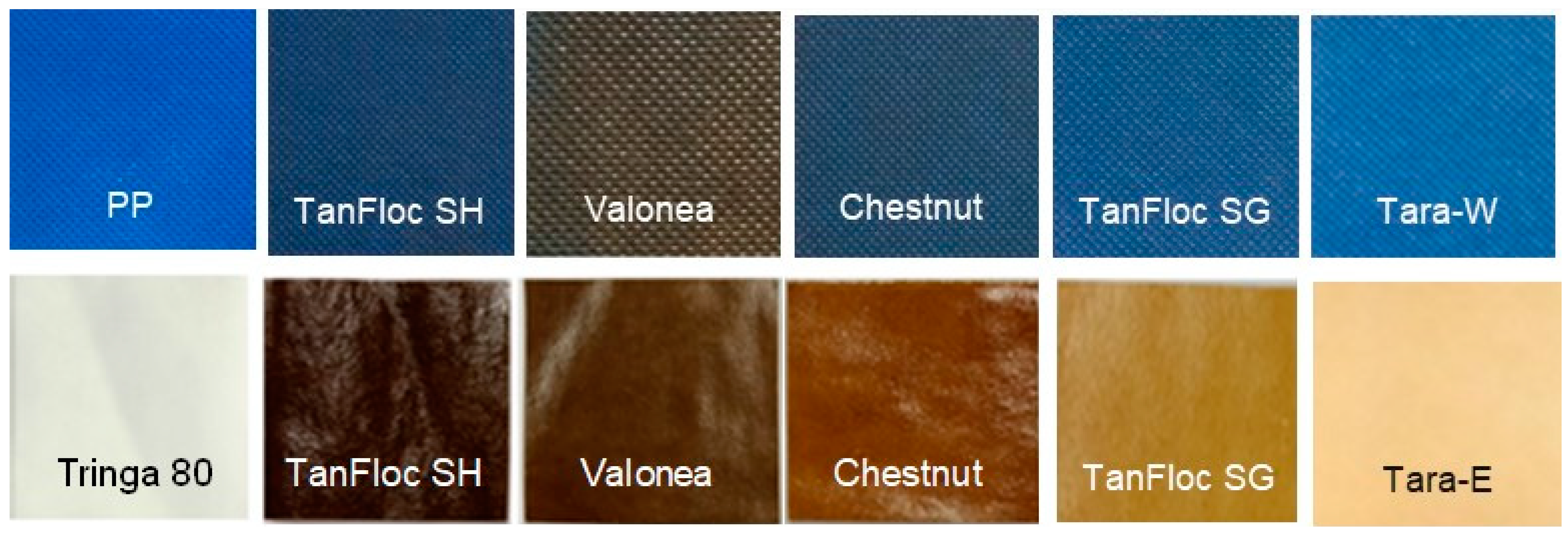 Jfb 14 00187 g004 Jfb 14 00187 g004