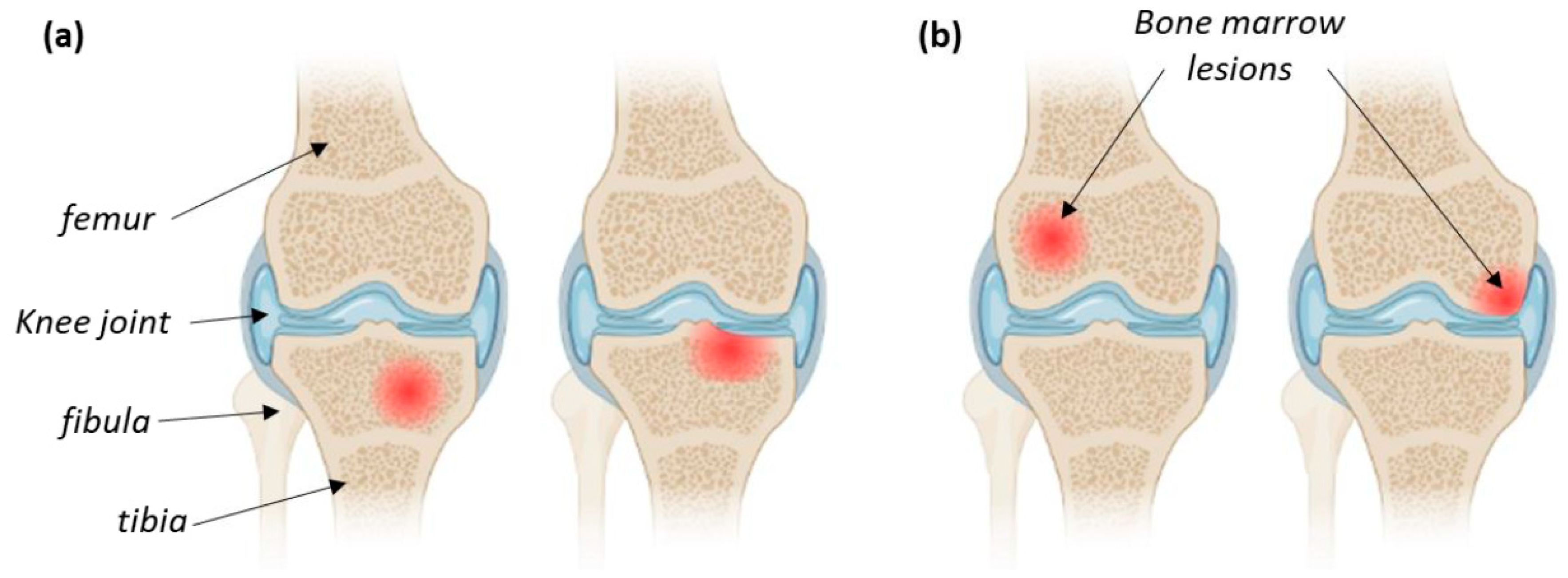 Jfb 14 00204 g008 Jfb 14 00204 g008