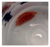 Jfb 14 00204 i002 Jfb 14 00204 i002