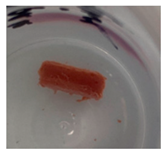 Jfb 14 00204 i004 Jfb 14 00204 i004