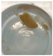 Jfb 14 00204 i007 Jfb 14 00204 i007