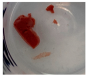 Jfb 14 00204 i008 Jfb 14 00204 i008