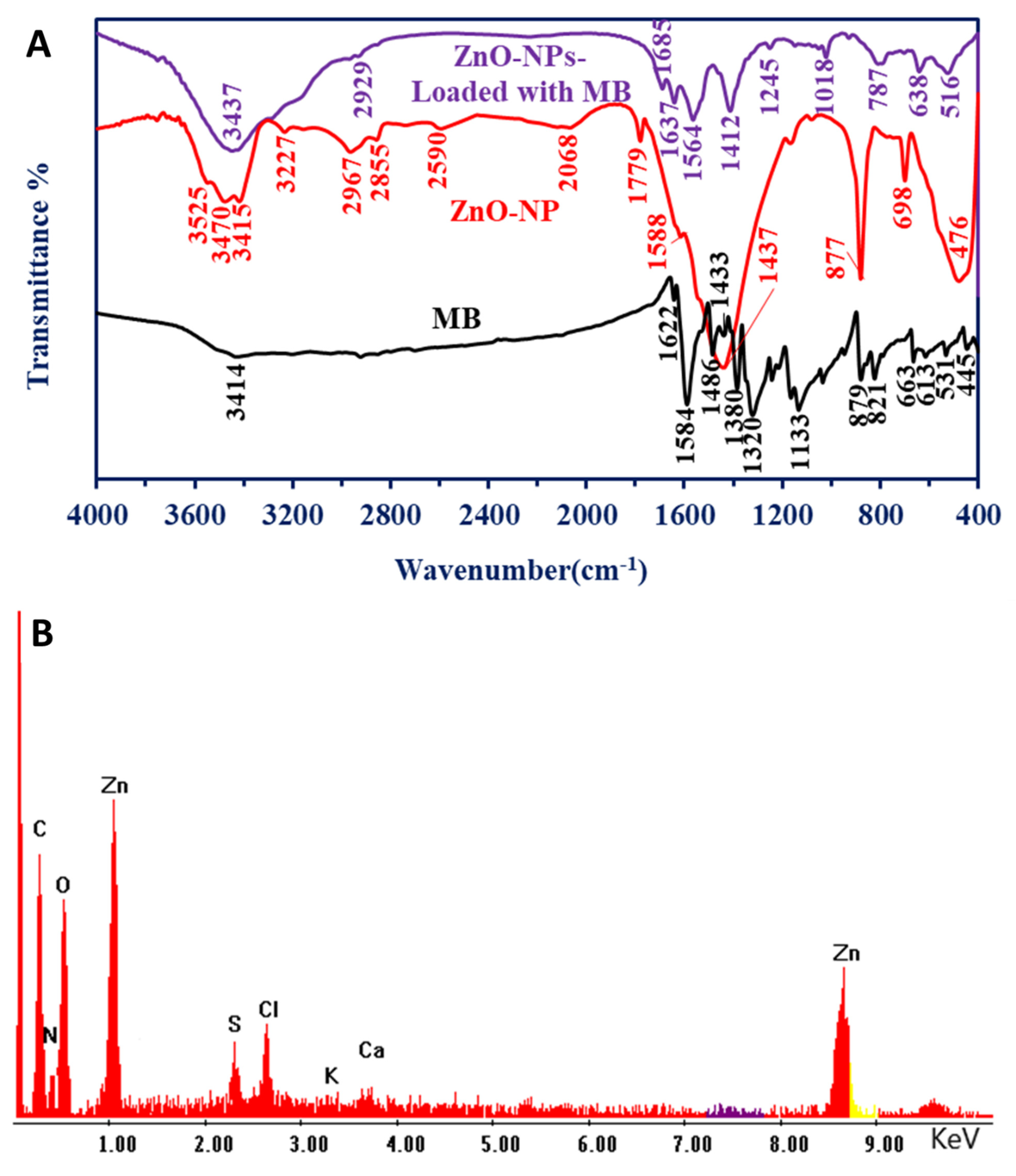 Jfb 14 00205 g011 Jfb 14 00205 g011