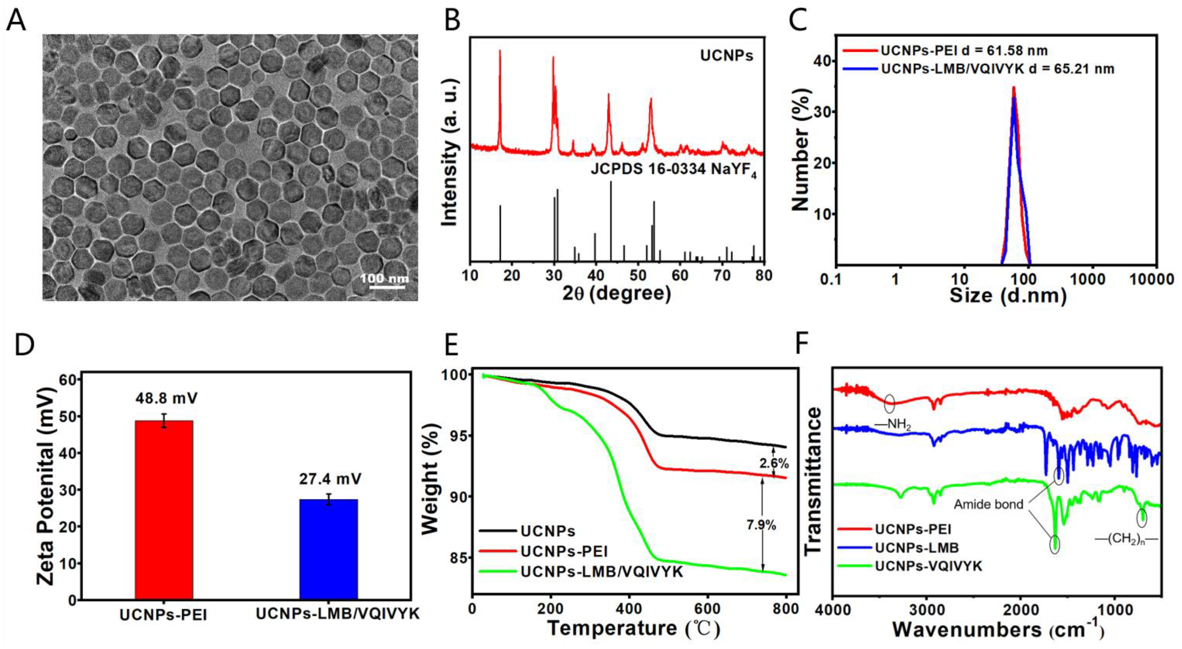 Jfb 14 00207 g002 Jfb 14 00207 g002