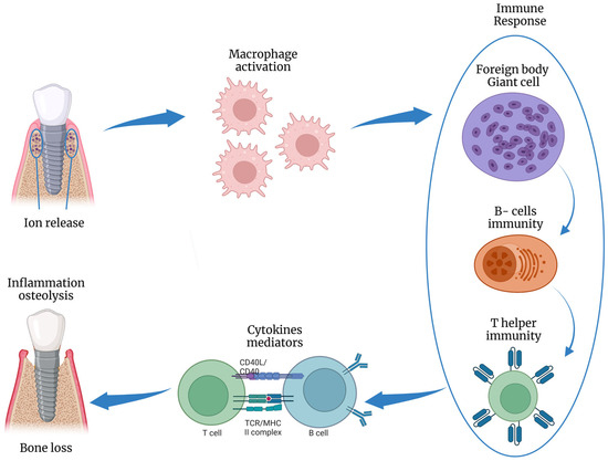 Jfb 14 00210 g006 550