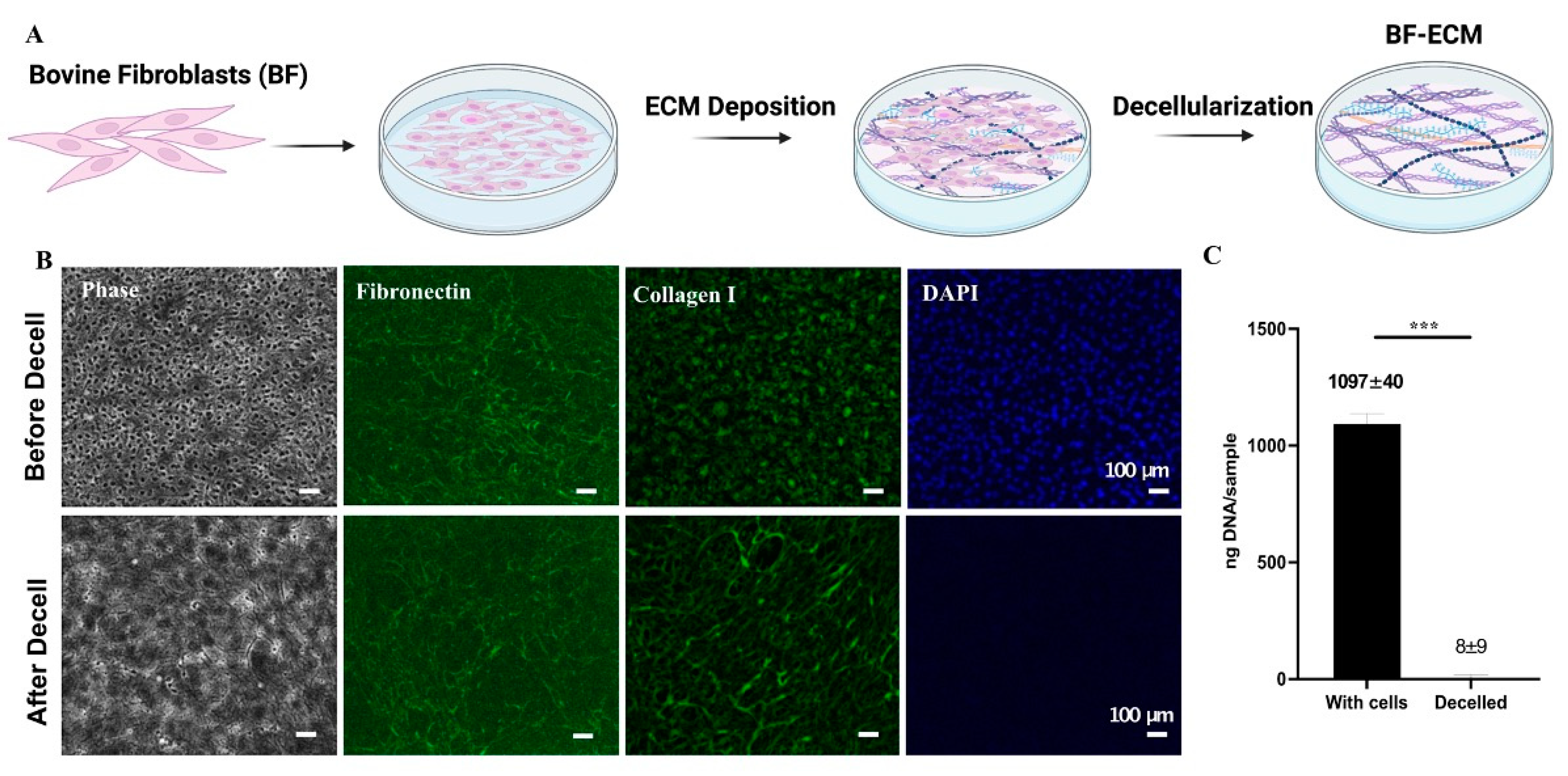 Jfb 14 00218 g002 Jfb 14 00218 g002