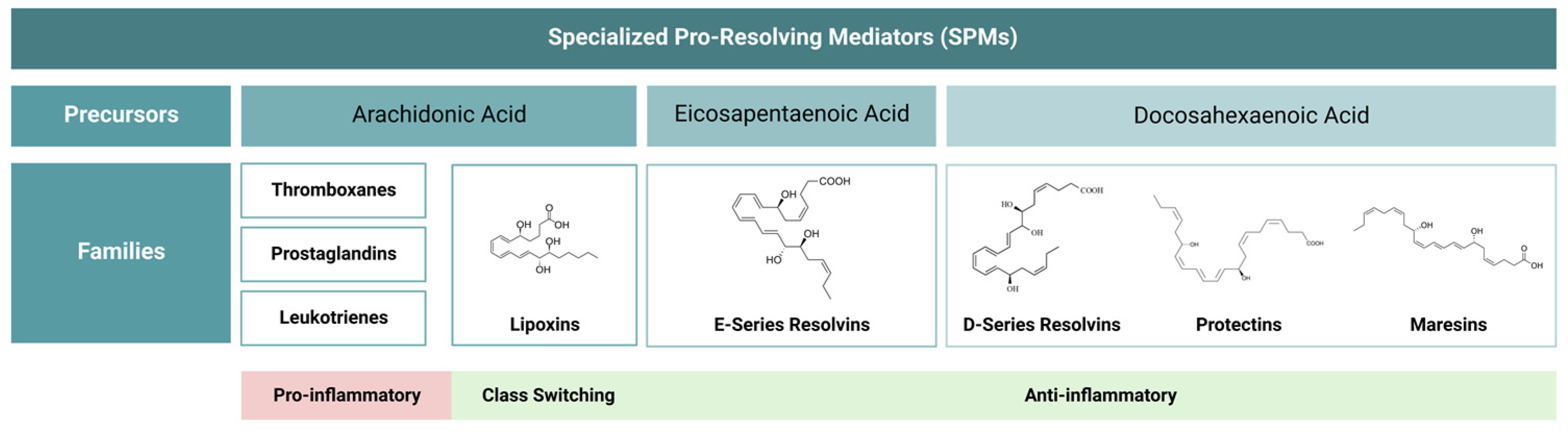 Jfb 14 00223 g001 Jfb 14 00223 g001