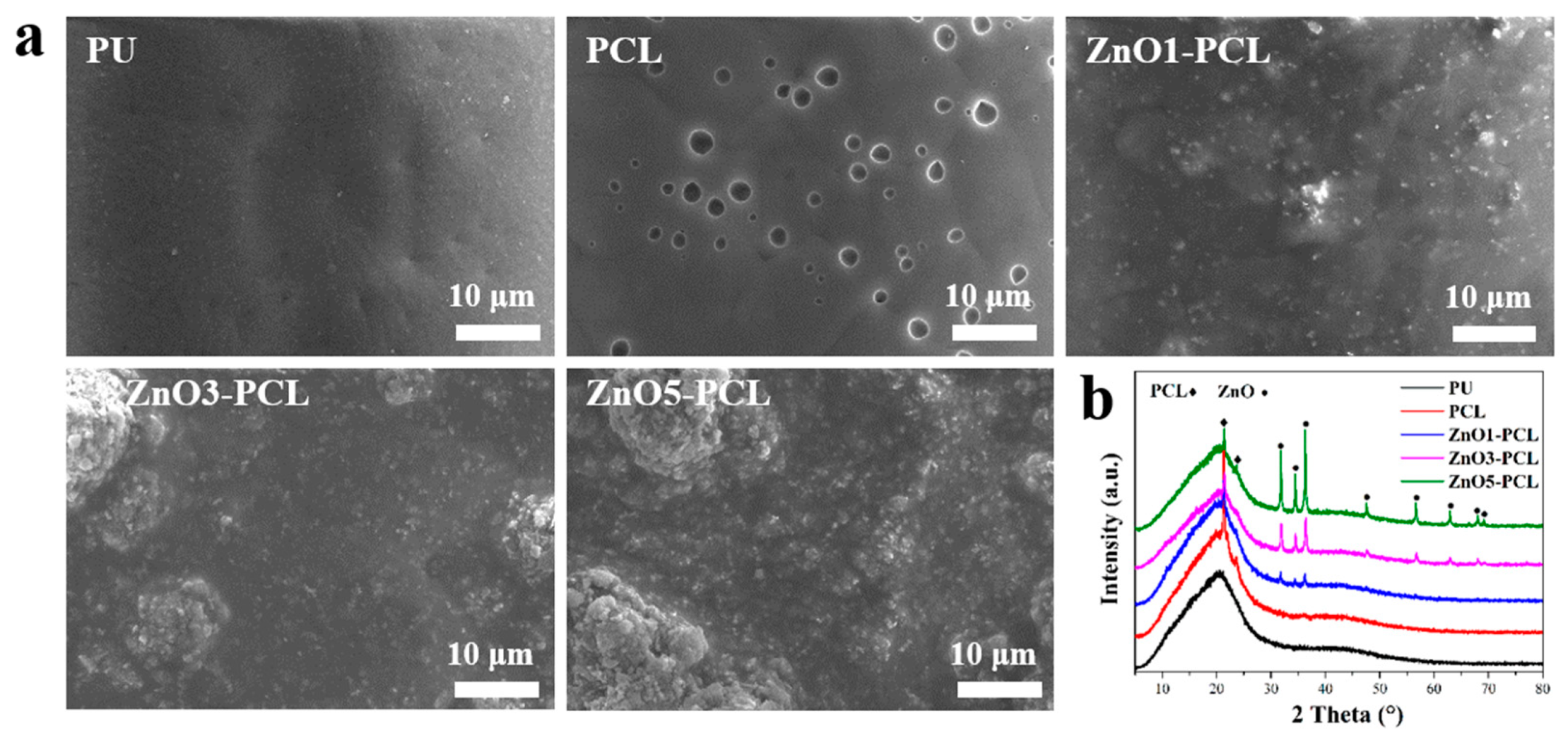 Jfb 14 00225 g001 Jfb 14 00225 g001