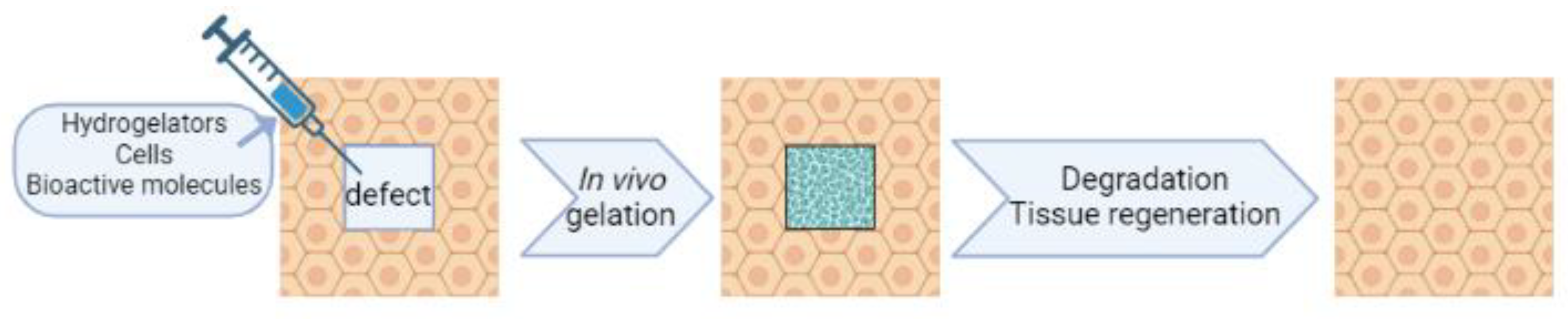 Jfb 14 00233 g002 Jfb 14 00233 g002