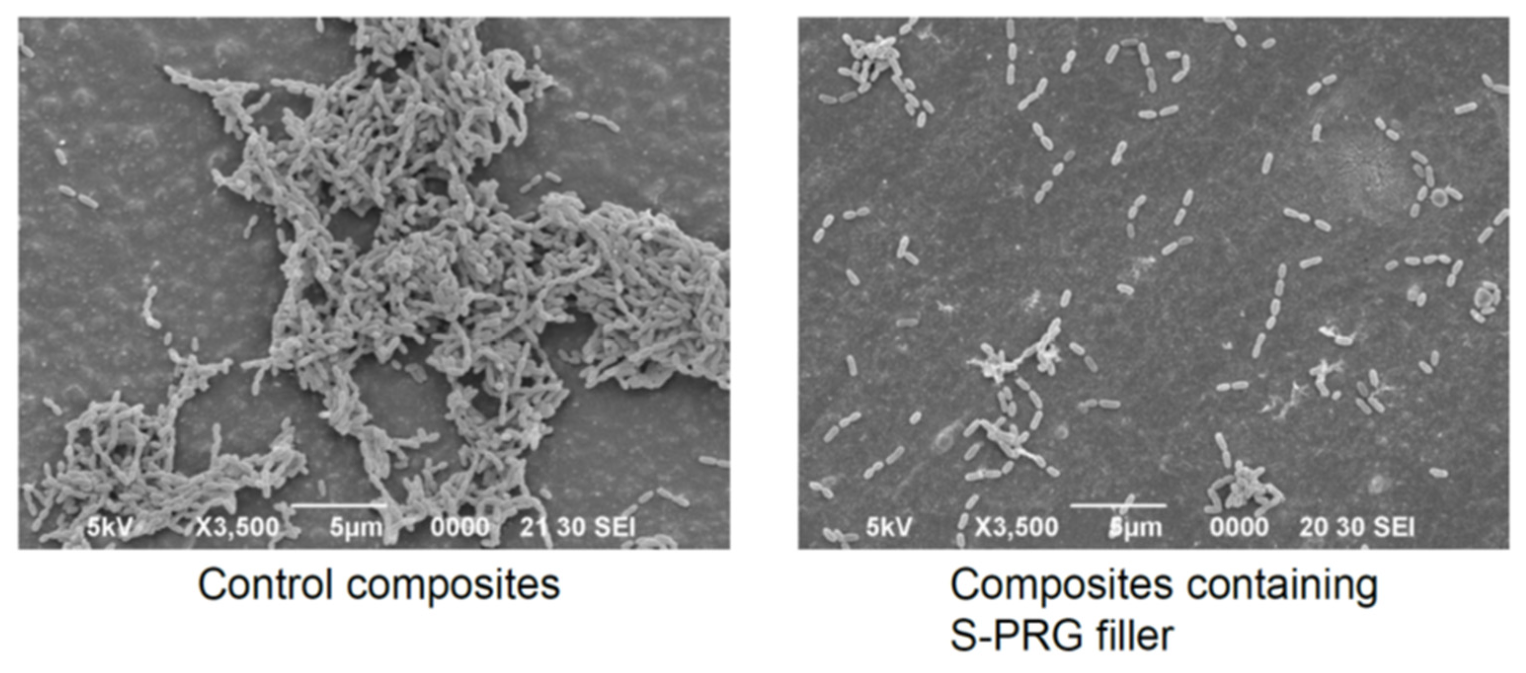 Jfb 14 00236 g006 Jfb 14 00236 g006