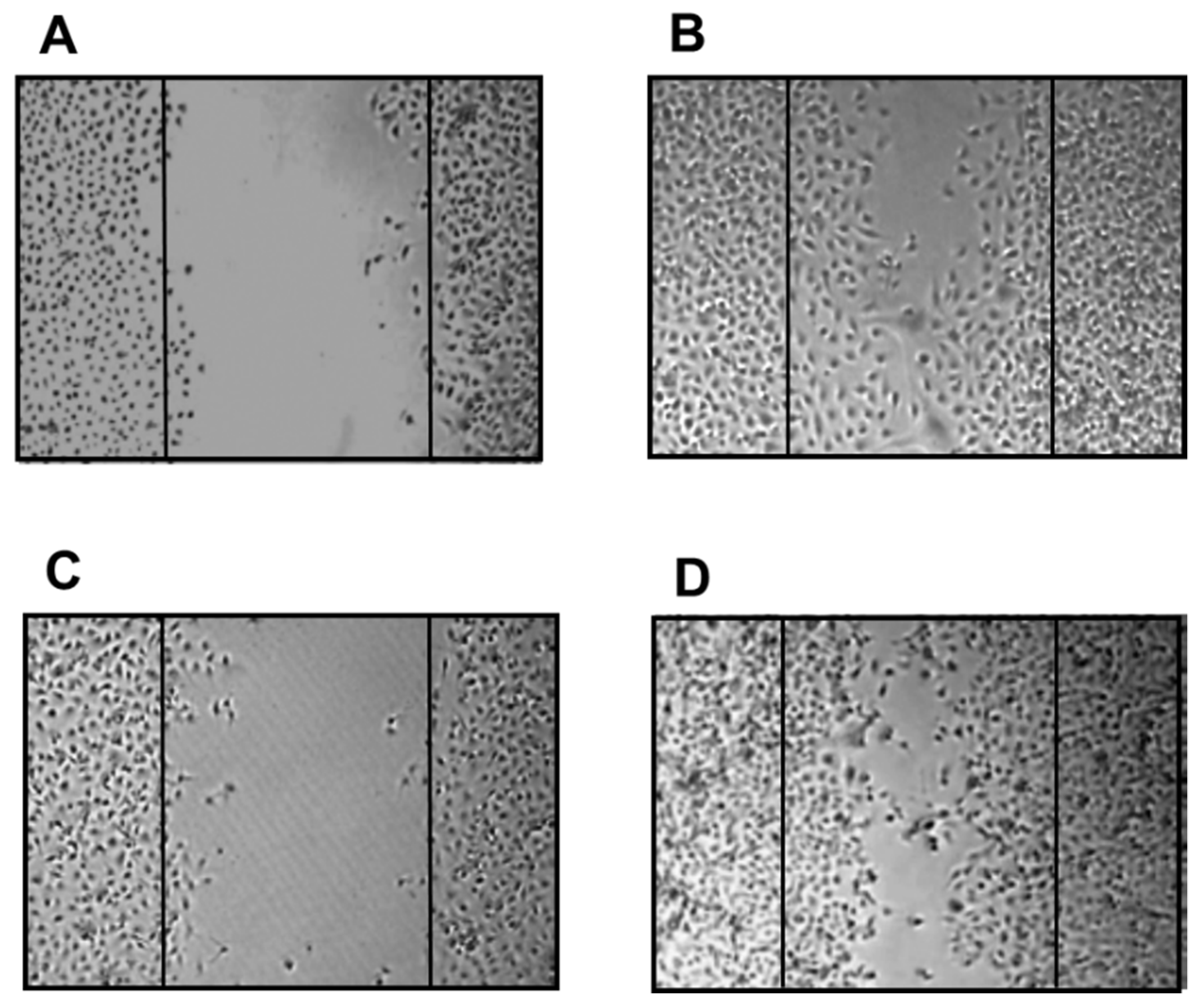 Jfb 14 00236 g008 Jfb 14 00236 g008