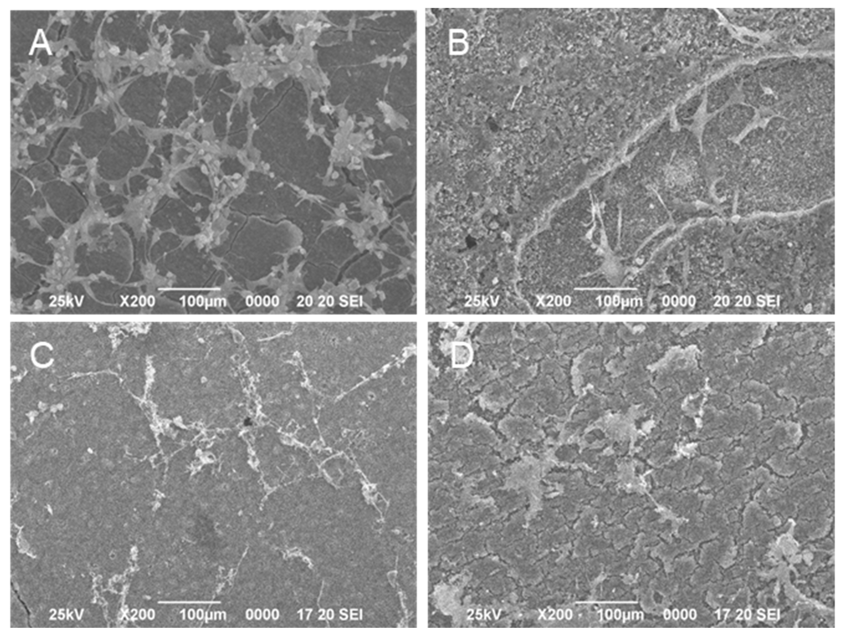 Jfb 14 00236 g009 Jfb 14 00236 g009