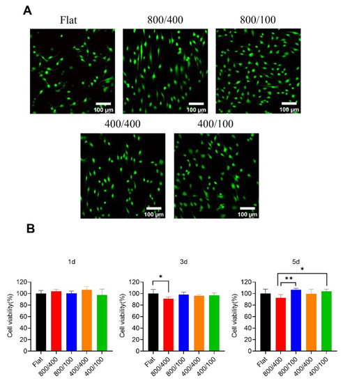 Submicron-Grooved Films Modulate the Directional Alignment