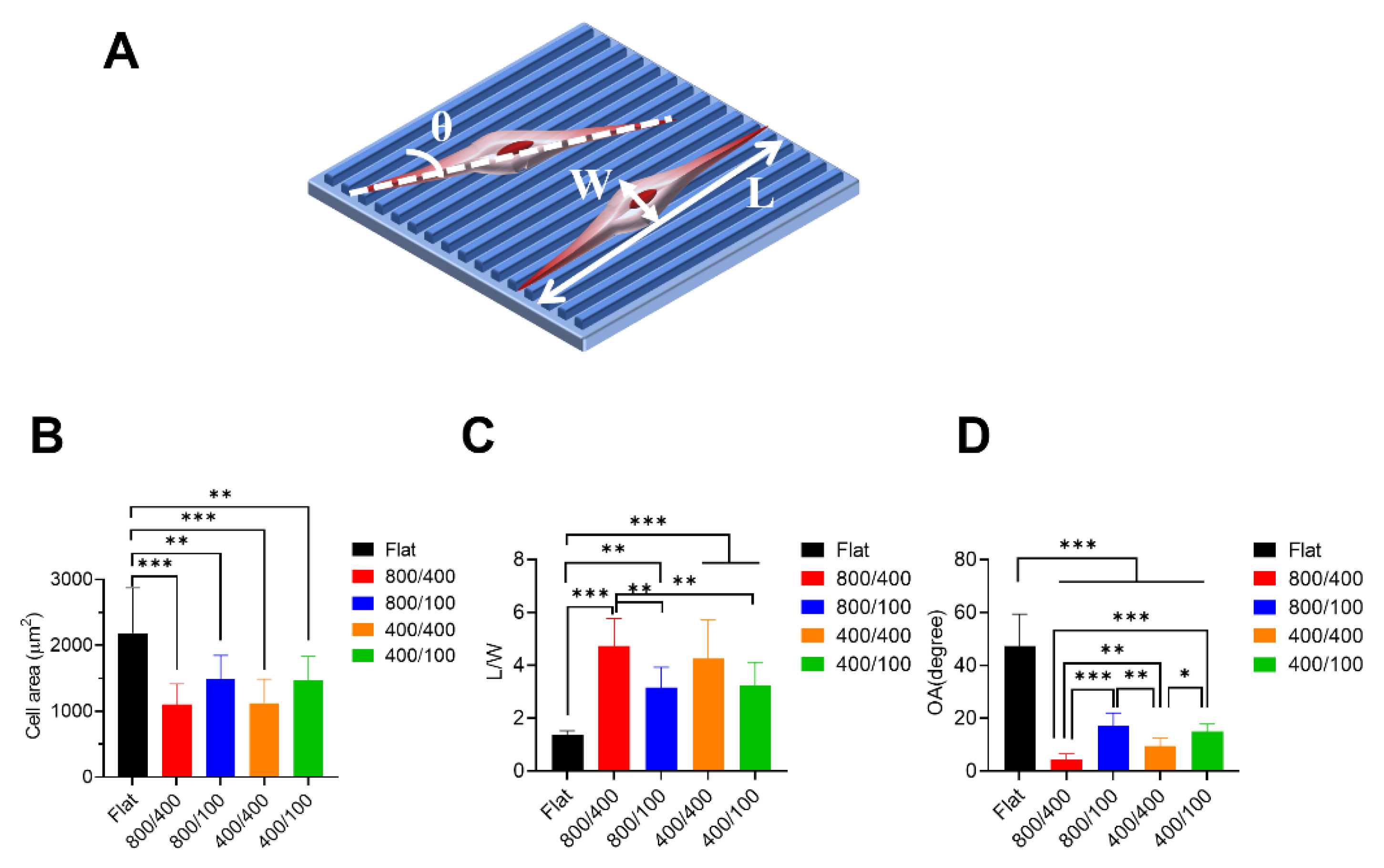 Jfb 14 00238 g004 Jfb 14 00238 g004