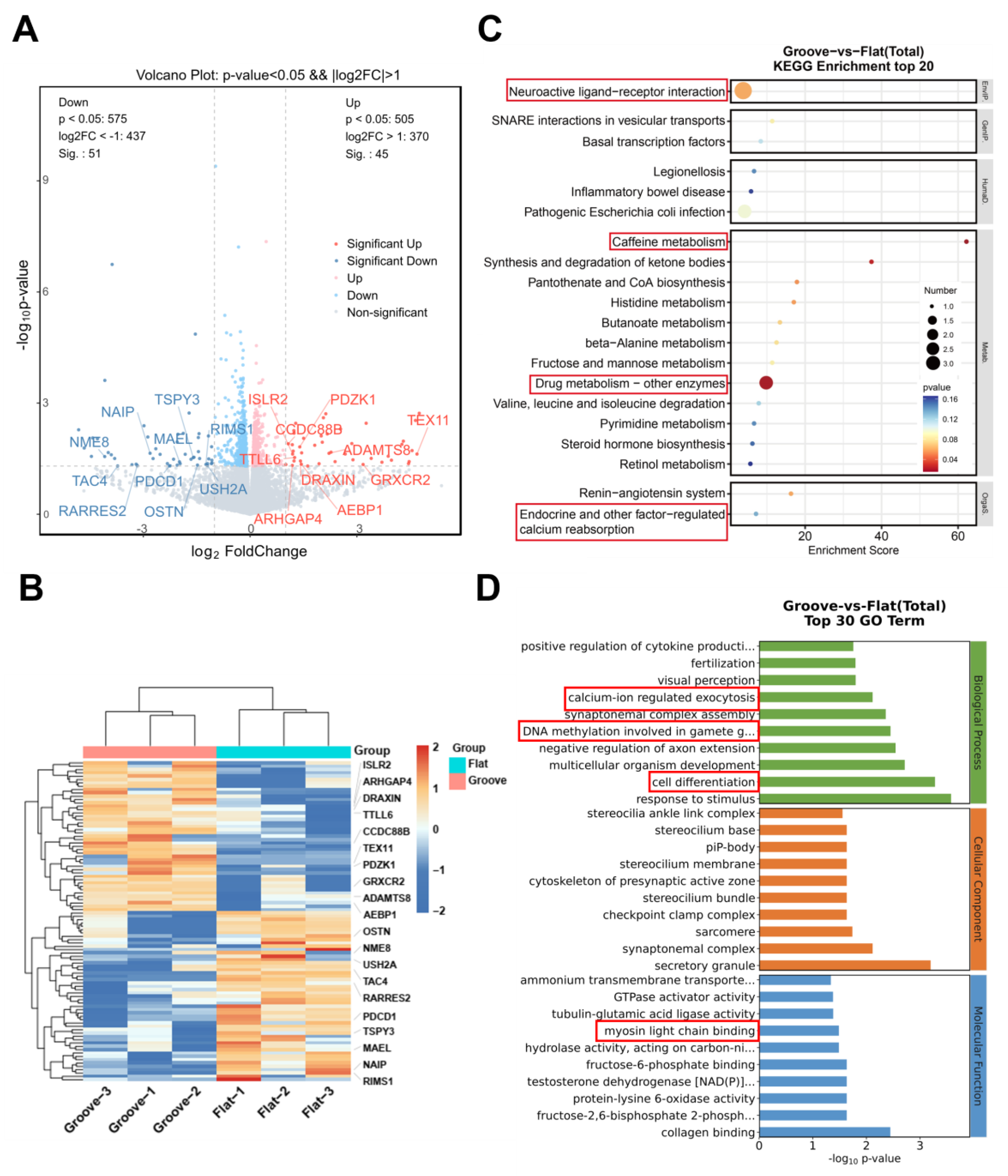 Jfb 14 00238 g008 Jfb 14 00238 g008