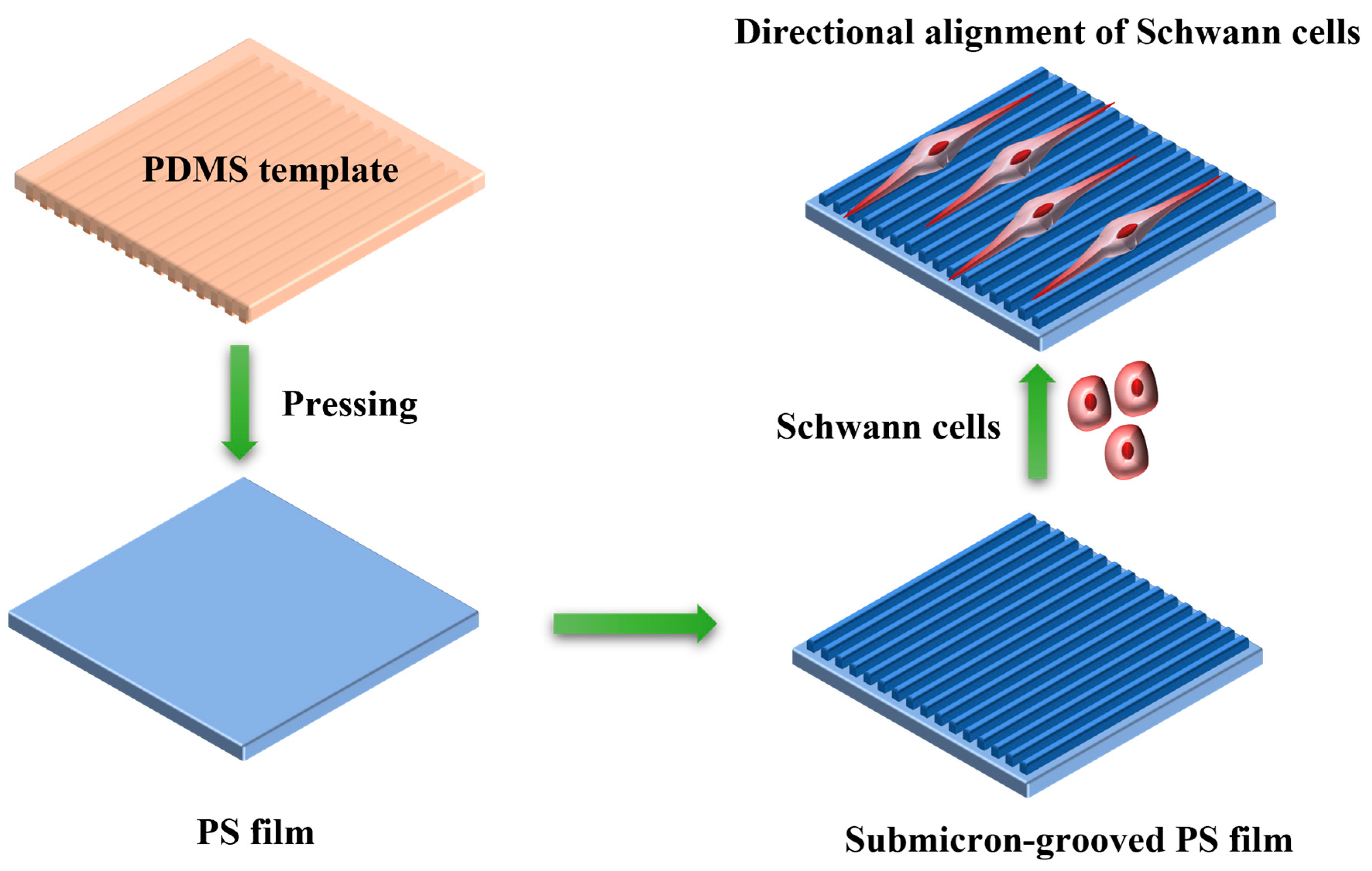 Jfb 14 00238 sch001 Jfb 14 00238 sch001